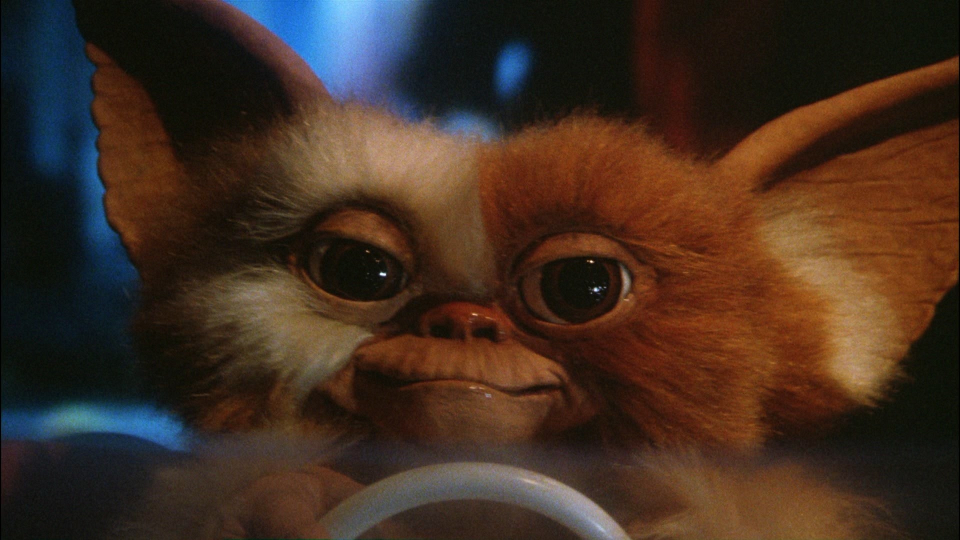 1920x1080 In 'Gremlins' a teenage boy (Zach Galligan) is given a new exotic pet for  Christmas. When he fails to stick to the three rules attached to the cute  little ...