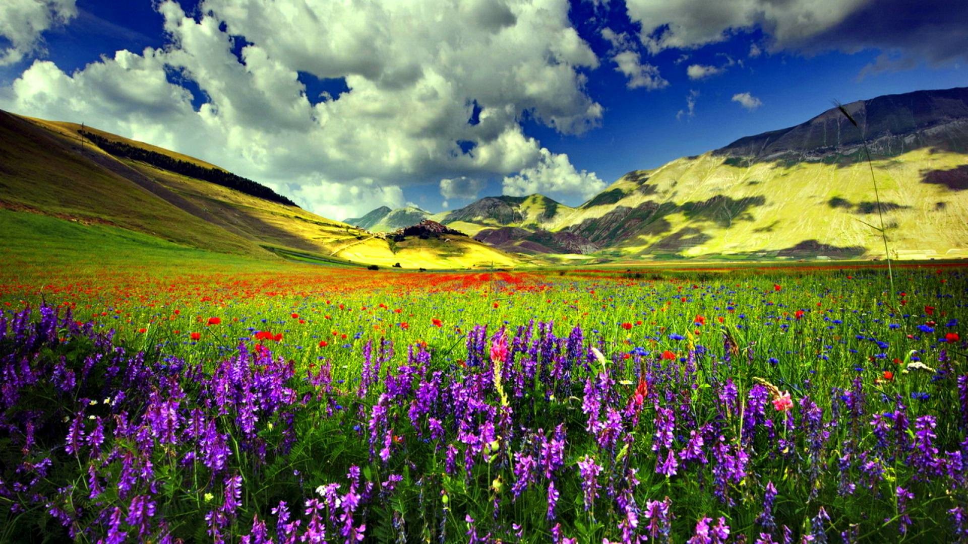 1920x1080 Colorful Spring Background
