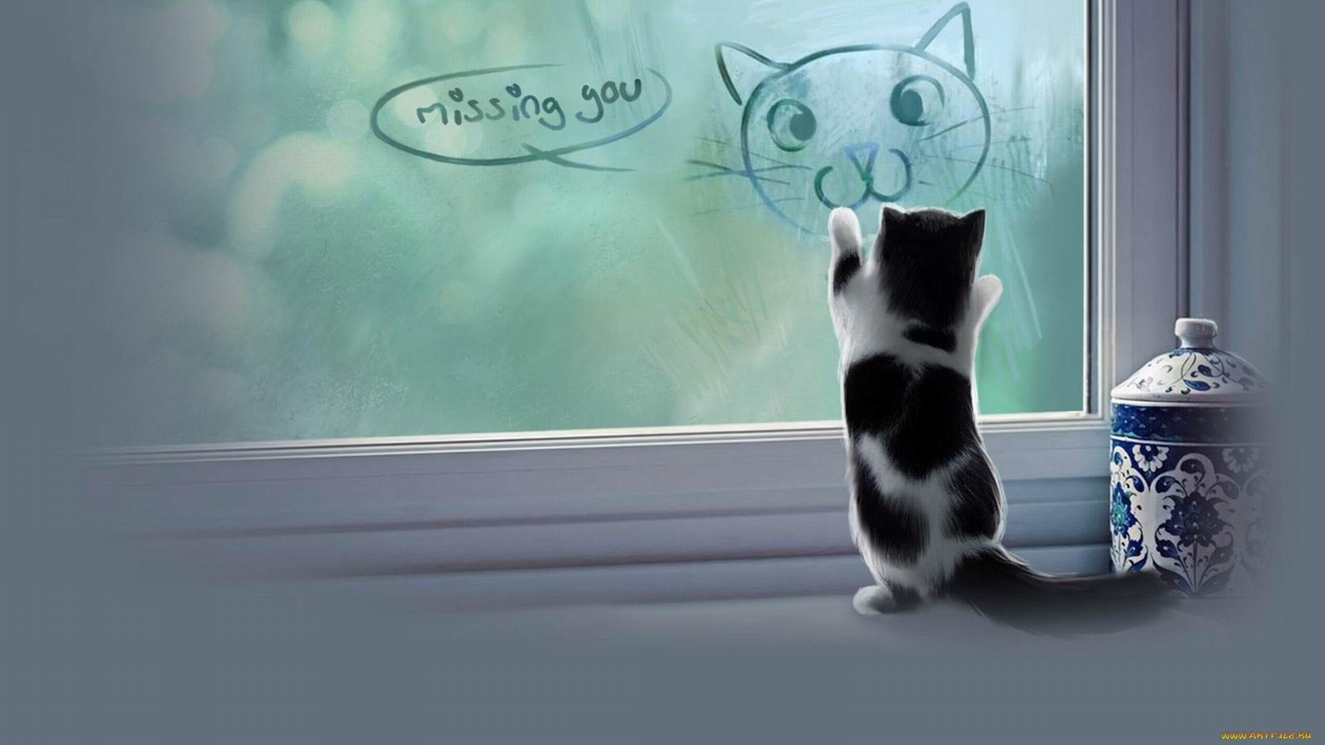 1920x1080 Miss You Wallpapers- HD Wallpapers OS