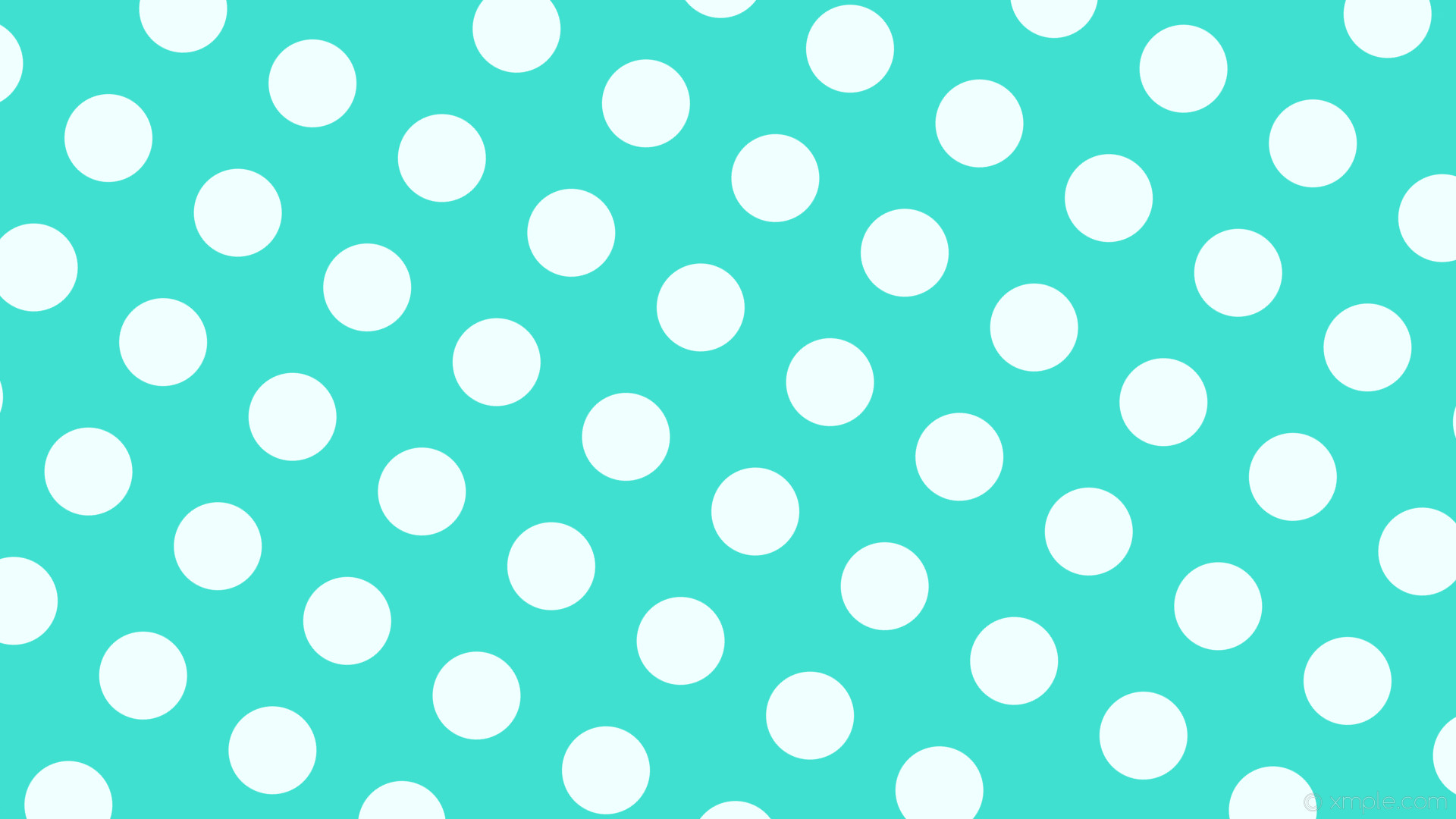 1920x1080 wallpaper polka spots white blue dots turquoise azure #40e0d0 #f0ffff 150Â°  116px 197px