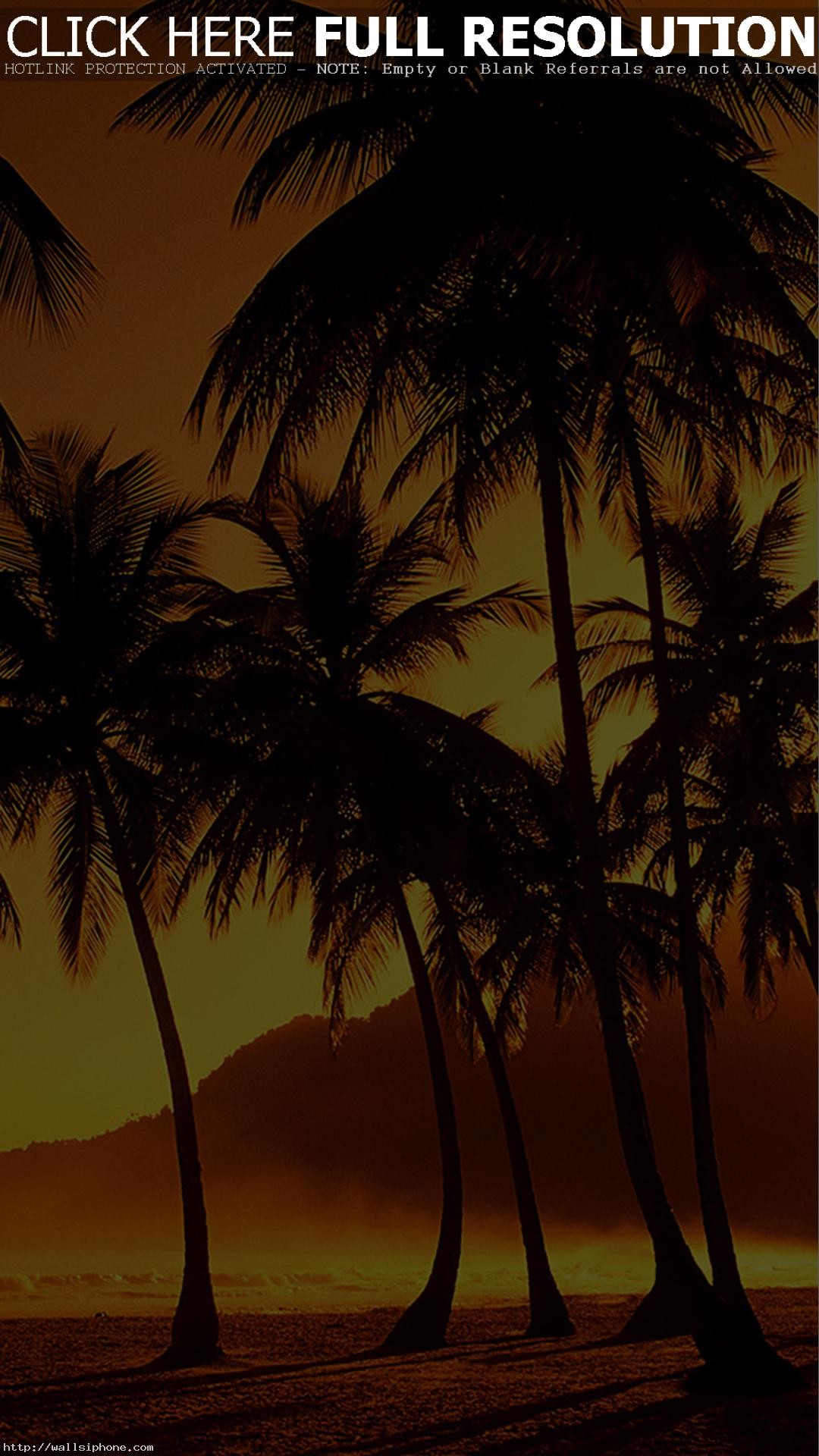 1080x1920 Palm Trees at Beach