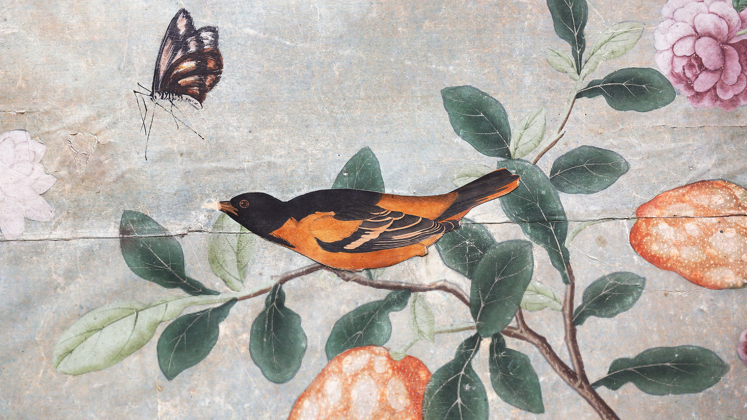 2400x1350 DIY for Aristocrats: Rare Audubon Prints Turned Into Fancy-Pants Wallpaper
