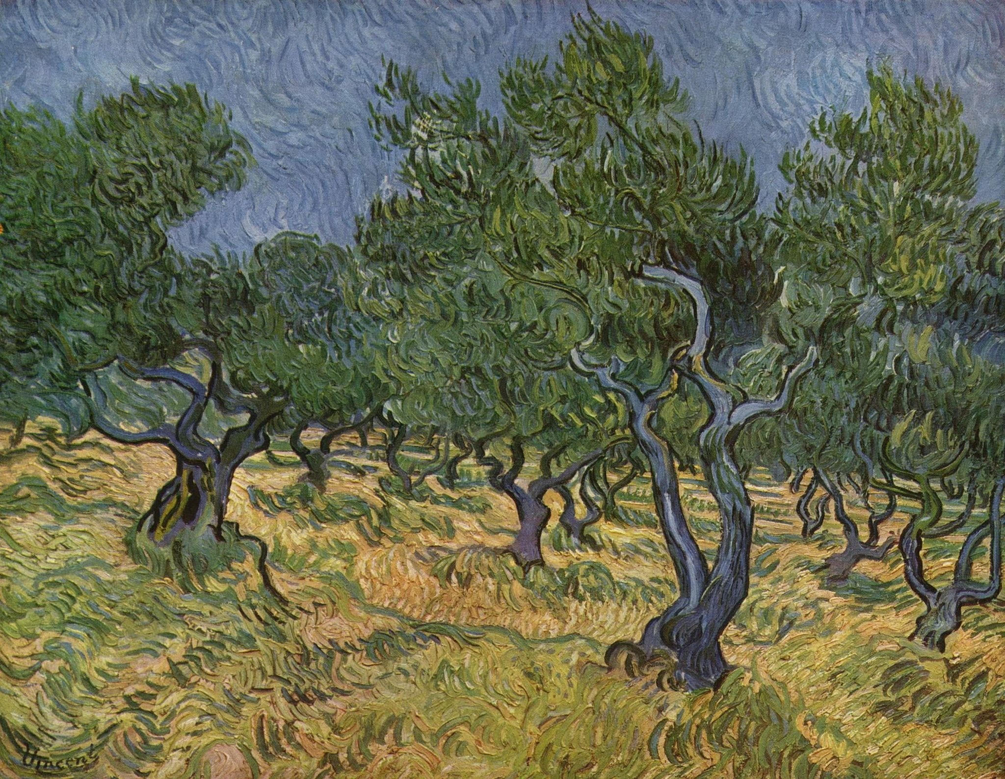 2048x1587 Van Gogh Trees Wallpaper