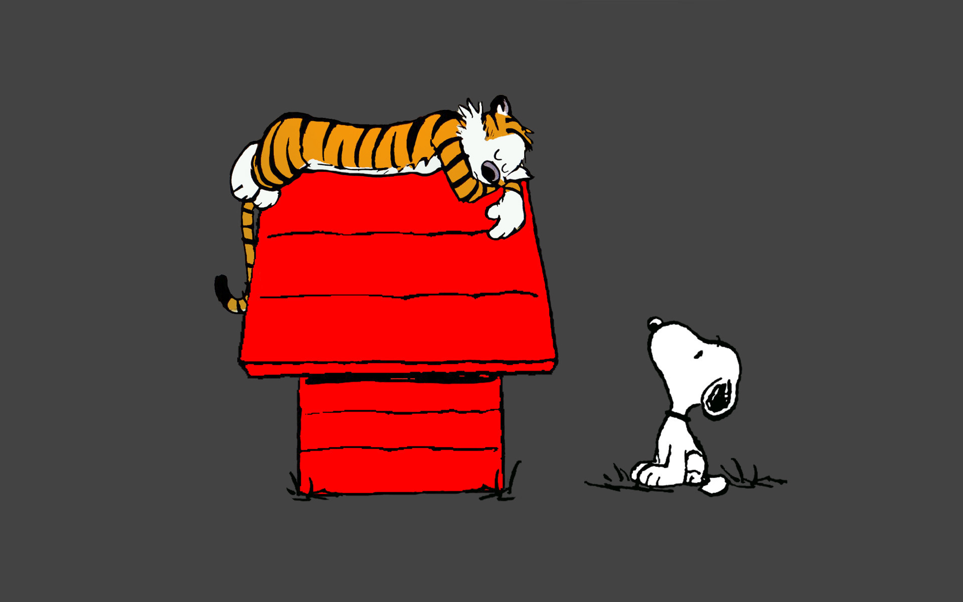 1920x1200 Snoopy Wallpapers HD A6
