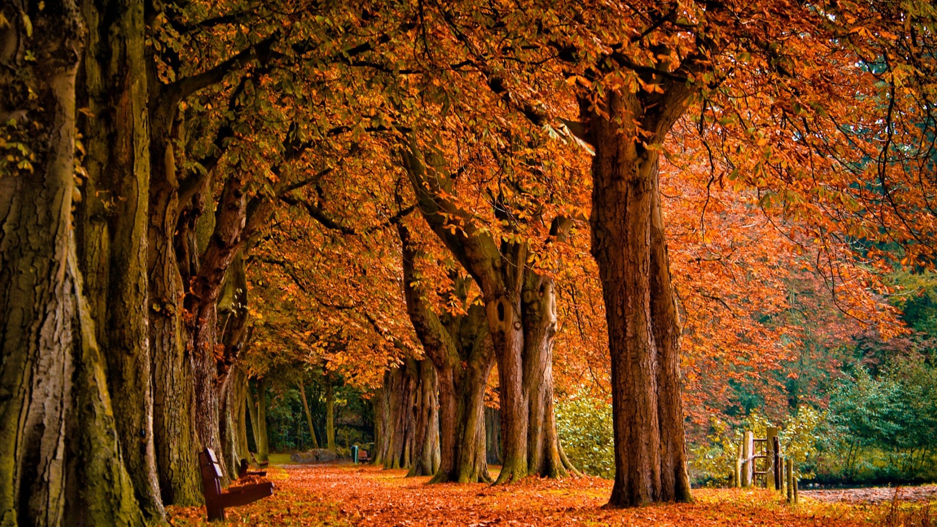 1920x1080 Fall Desktop Backgrounds Free Download Photo.
