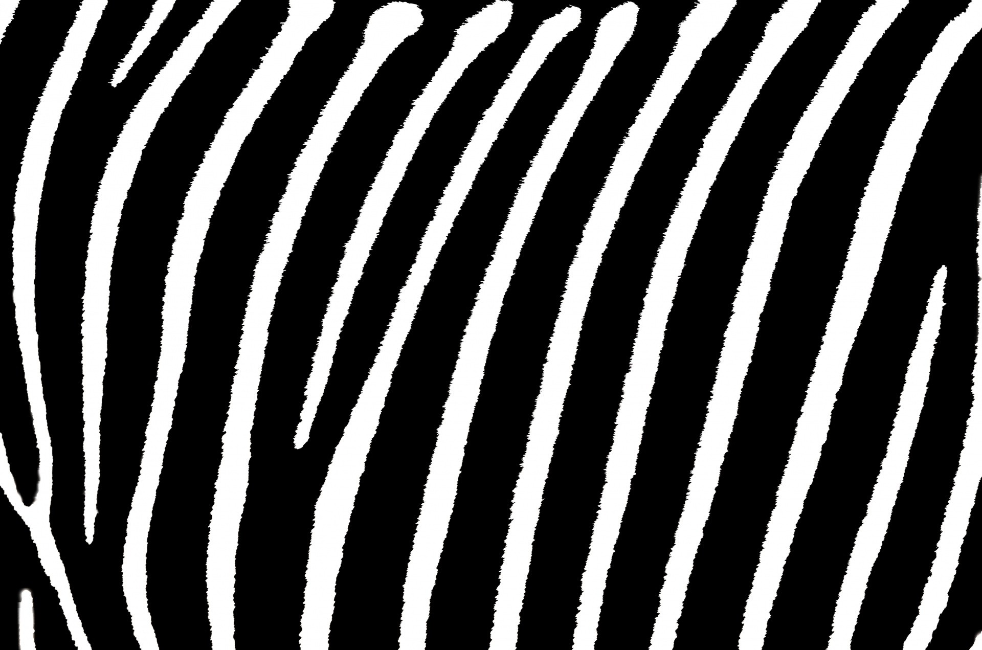 1920x1271 Download Zebra Stripe Wallpaper Gallery Pink Zebra Stripes Wallpaper ...