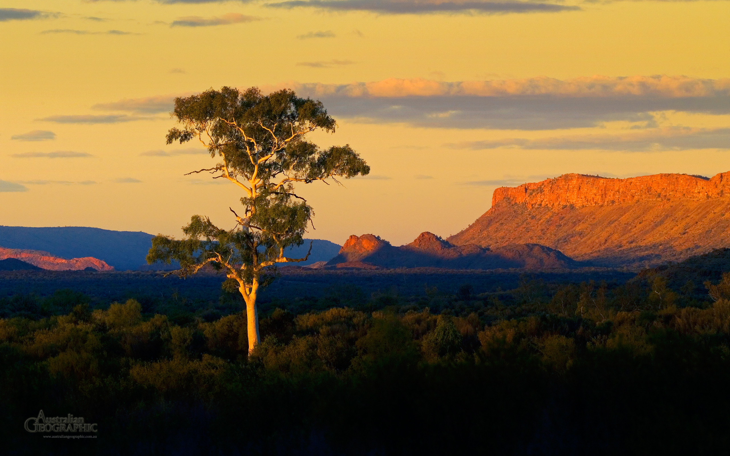 2560x1600 Wallpapers. alice springs ghost gum sunset