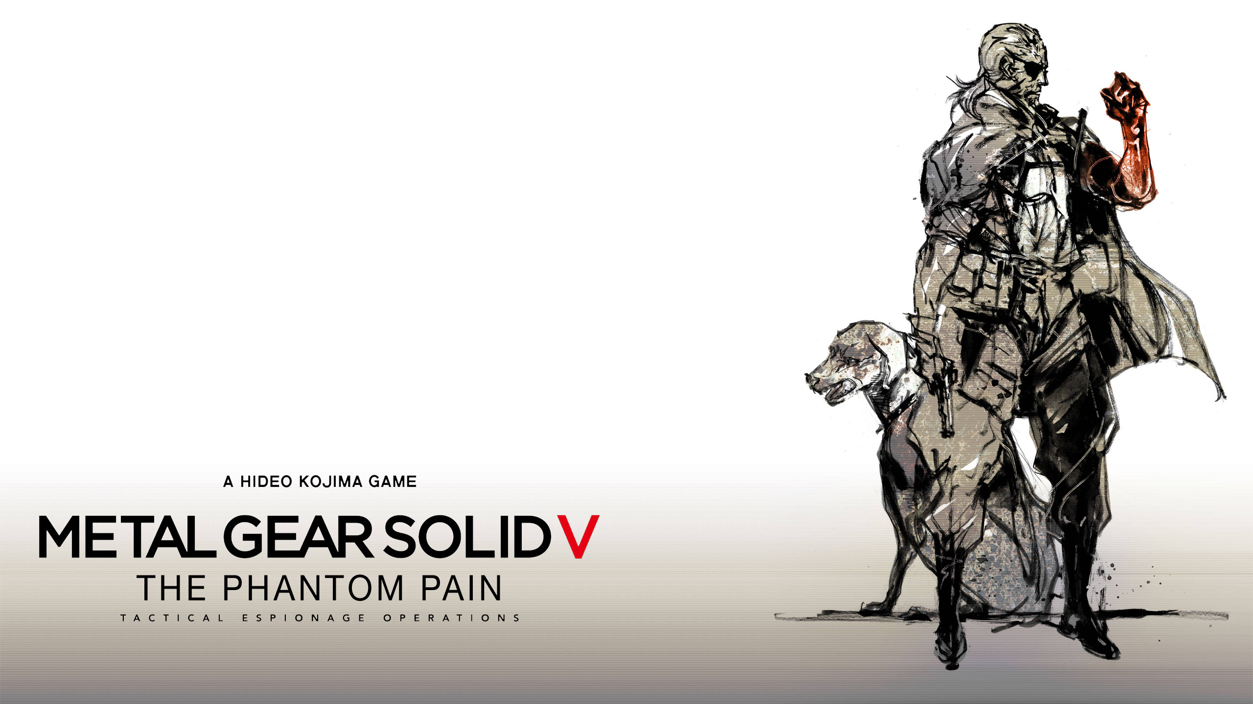 2560x1440 Metal Gear Solid 5