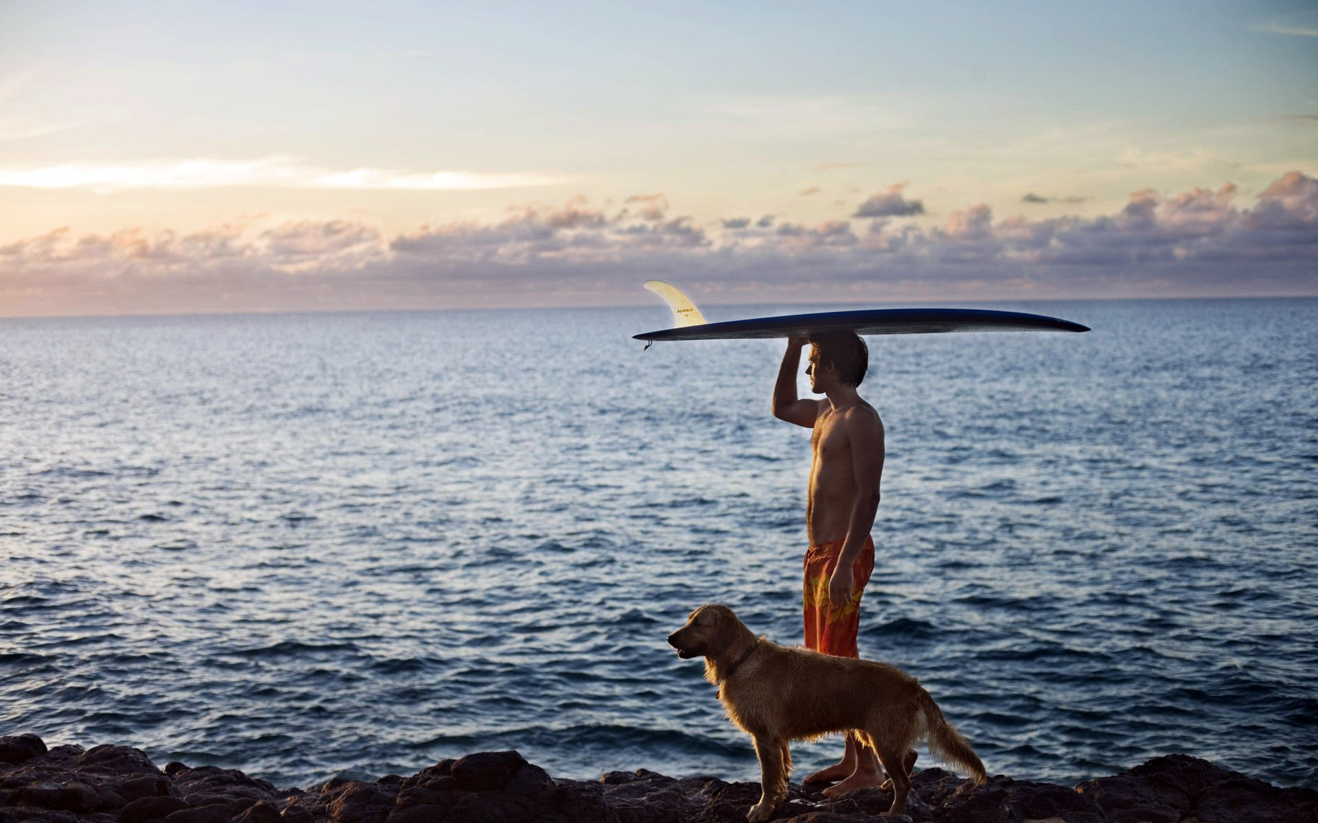 1920x1200 surfing animals dogs people men boys surfboard ocean sea mood sky clouds  wallpaper