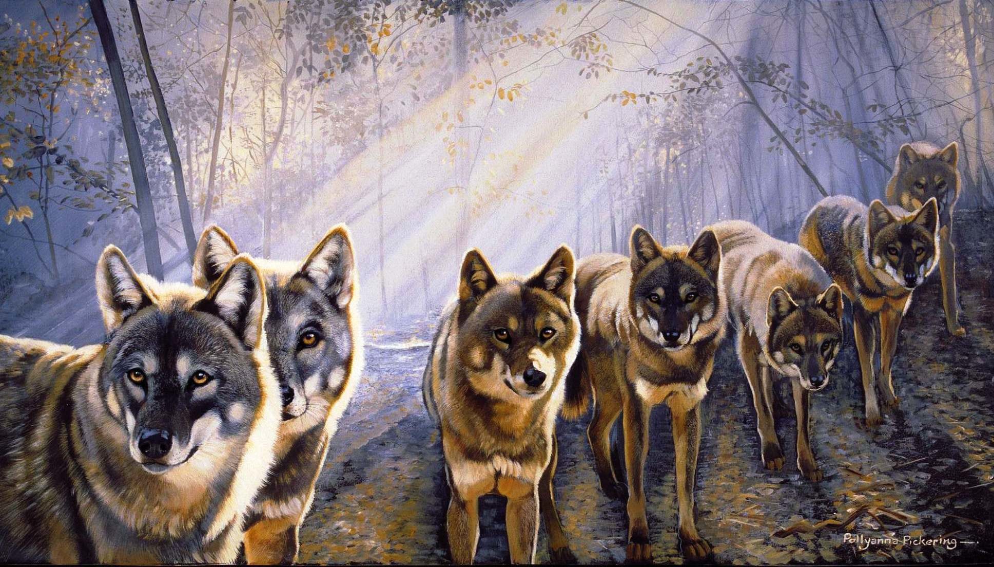 1937x1104 Twilight wolf pack wallpaper - photo#9