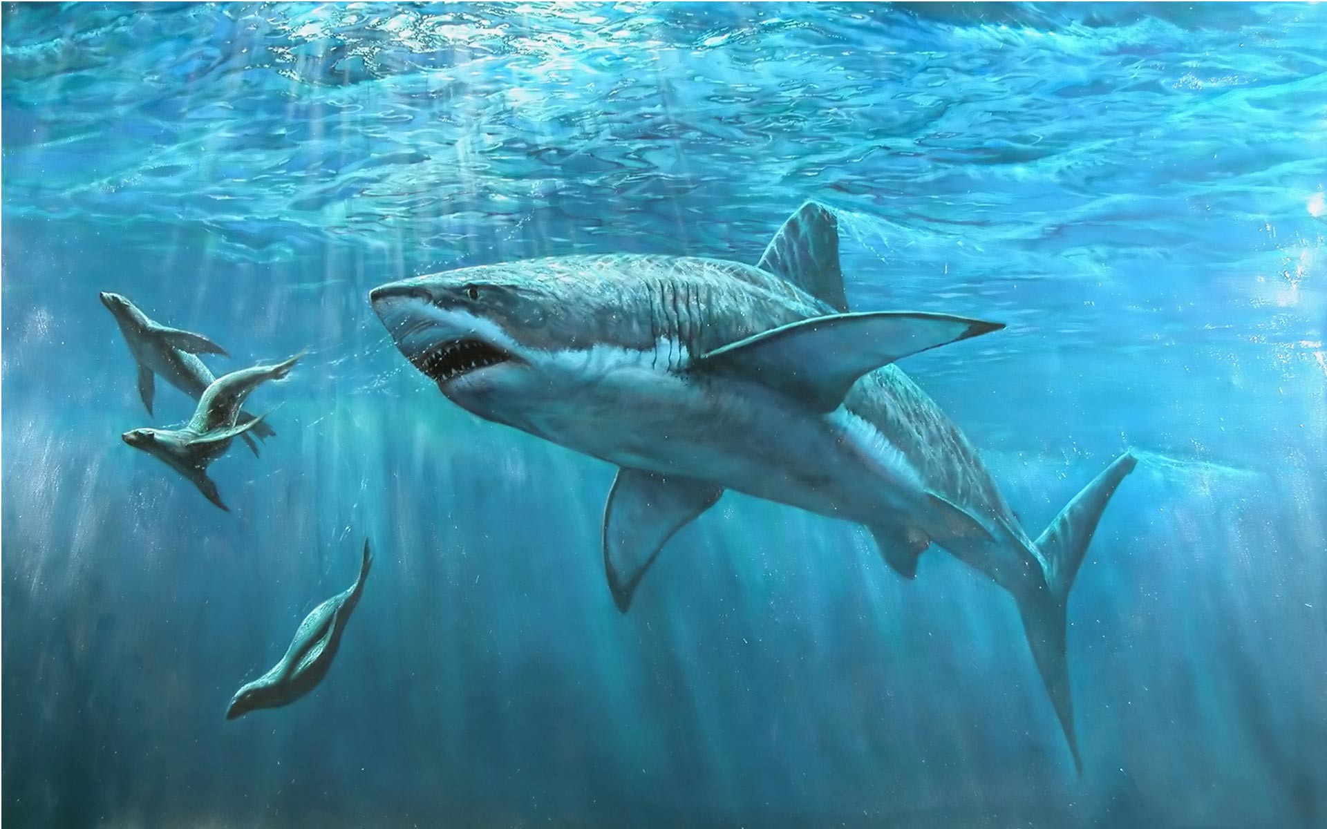 1920x1200 Megalodon Shark Desktop Wallpaper 19436
