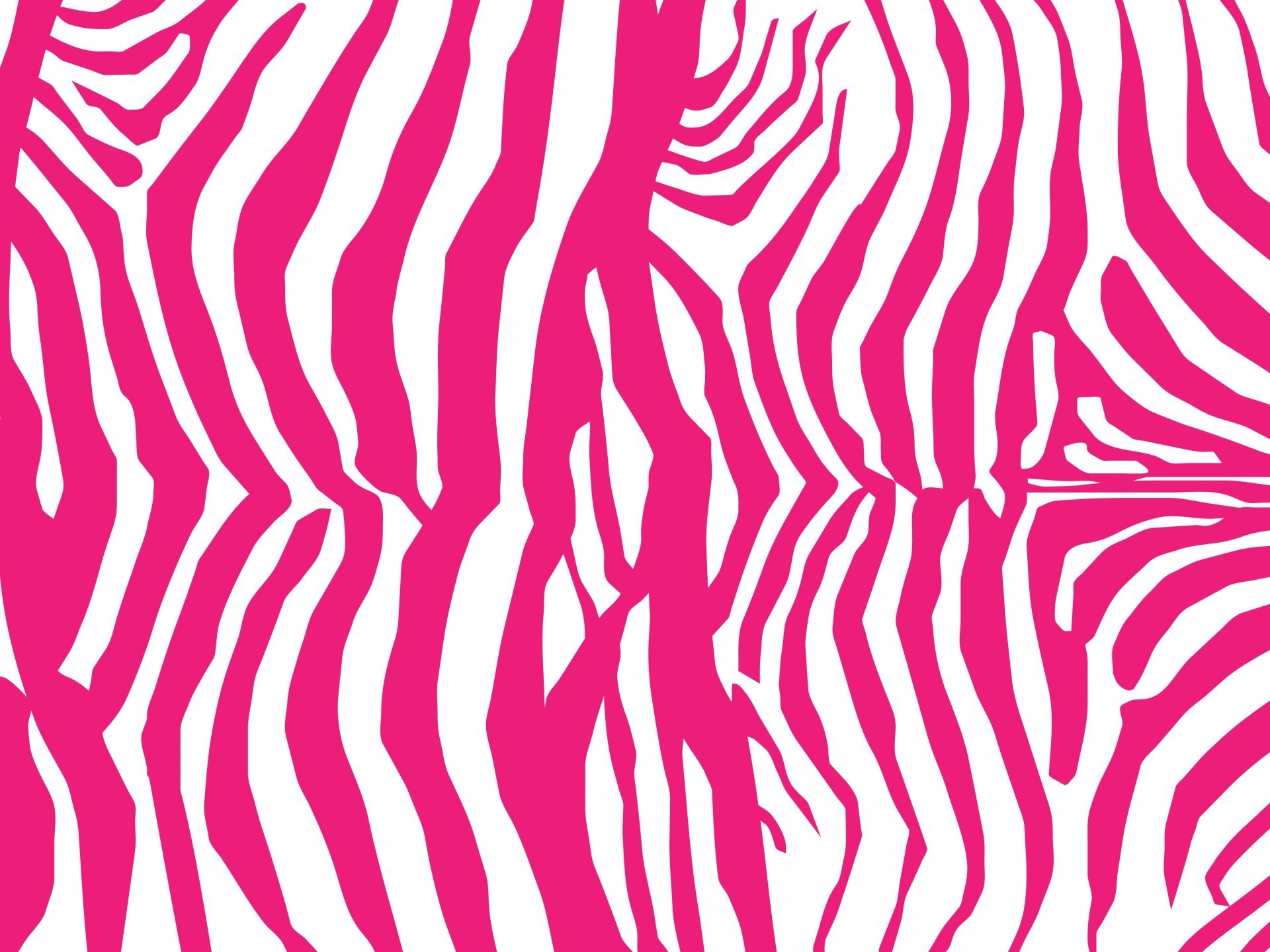 1920x1440  Pink Zebra Skin Background