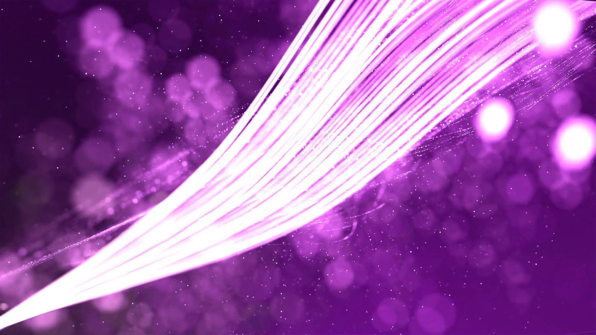 1920x1080 HD Loopable Background with nice abstract purple lines Motion Background -  VideoBlocks