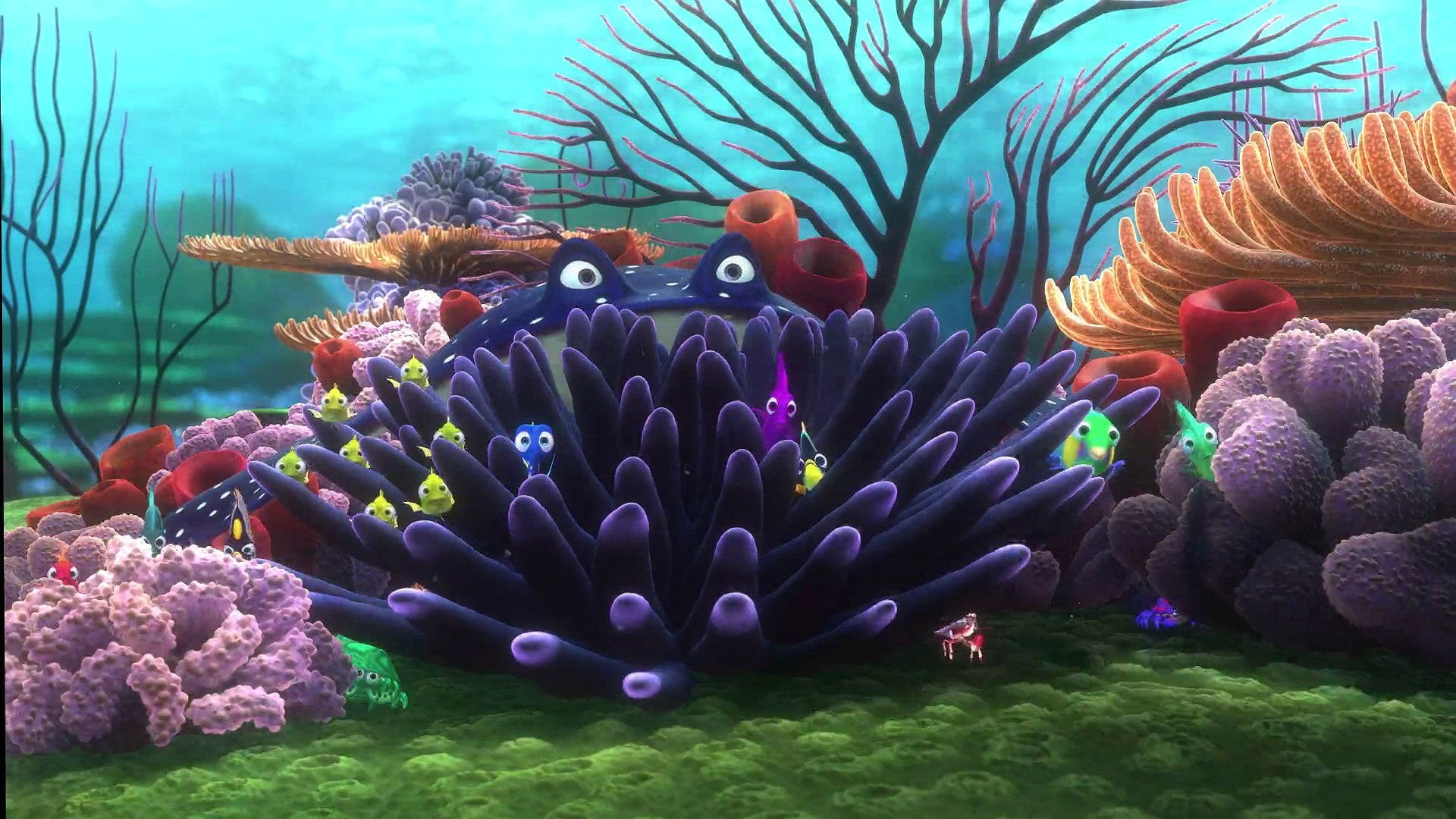 1920x1080 FINDING NEMO animation underwater sea ocean tropical fish adventure family  comedy drama disney 1finding-nemo wallpaper |  | 567526 |  WallpaperUP