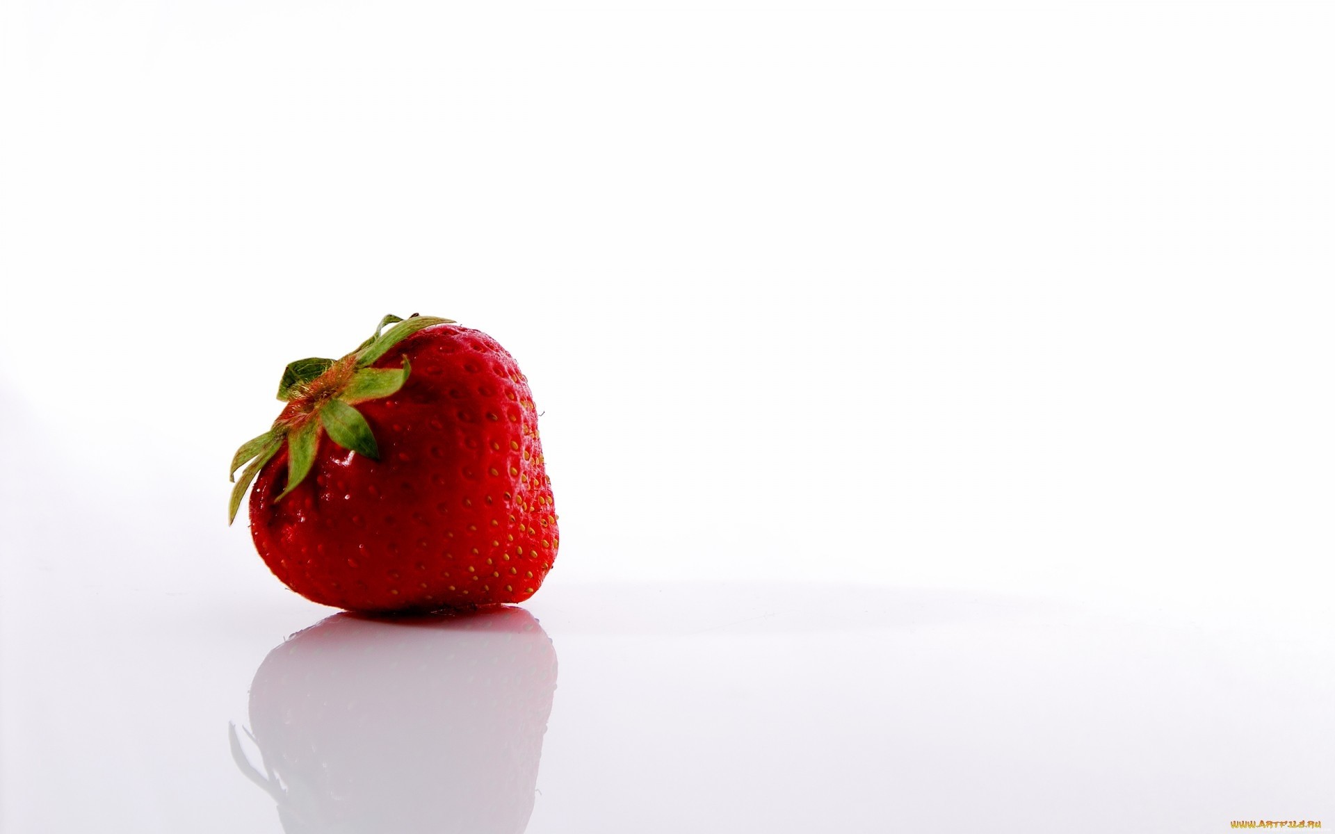 1920x1200 Red strawberry on white background HD Wallpaper -  http://www.hdwallpaperuniverse.