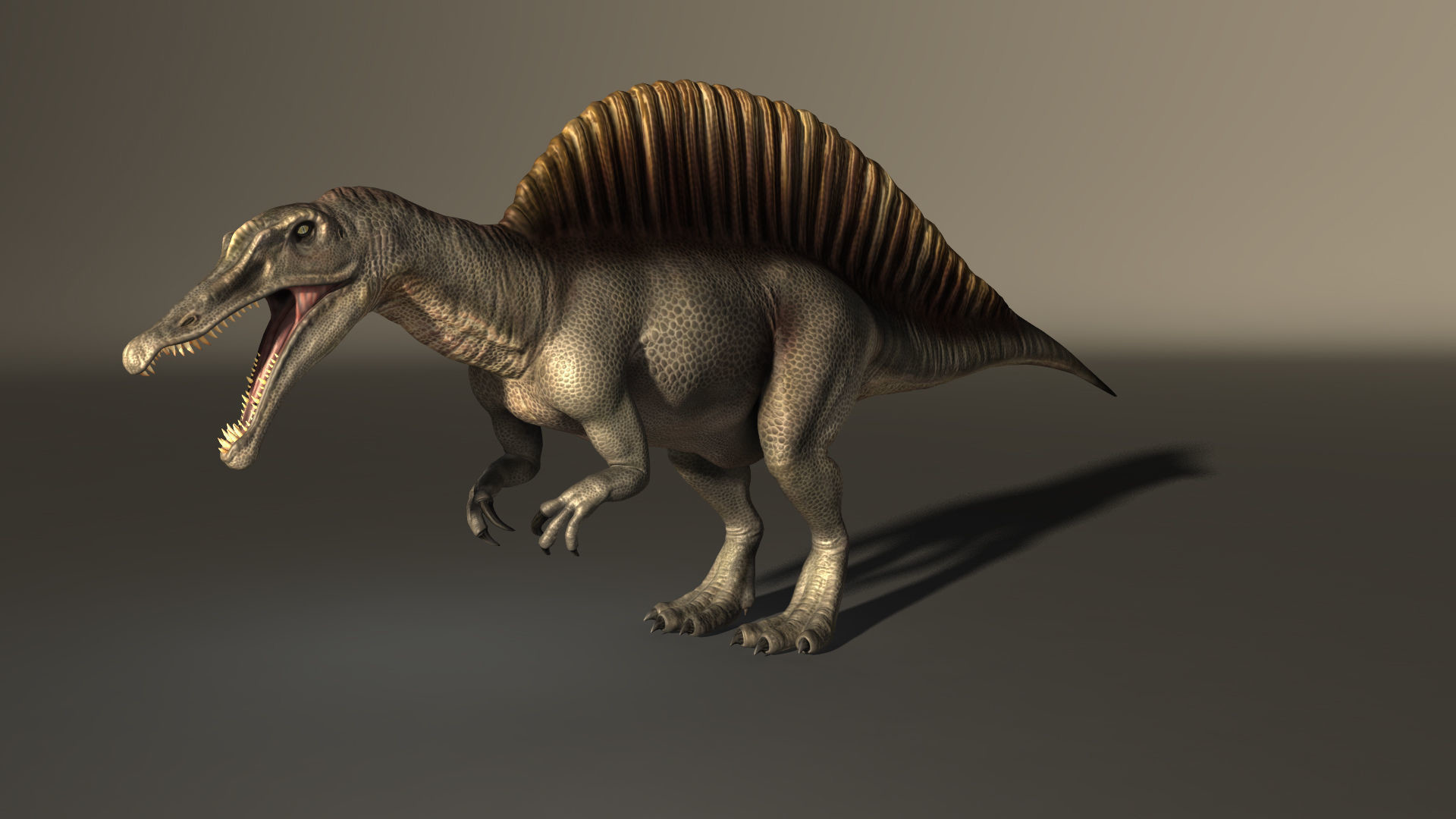 1920x1080 Spinosaurus High Poly 3D model