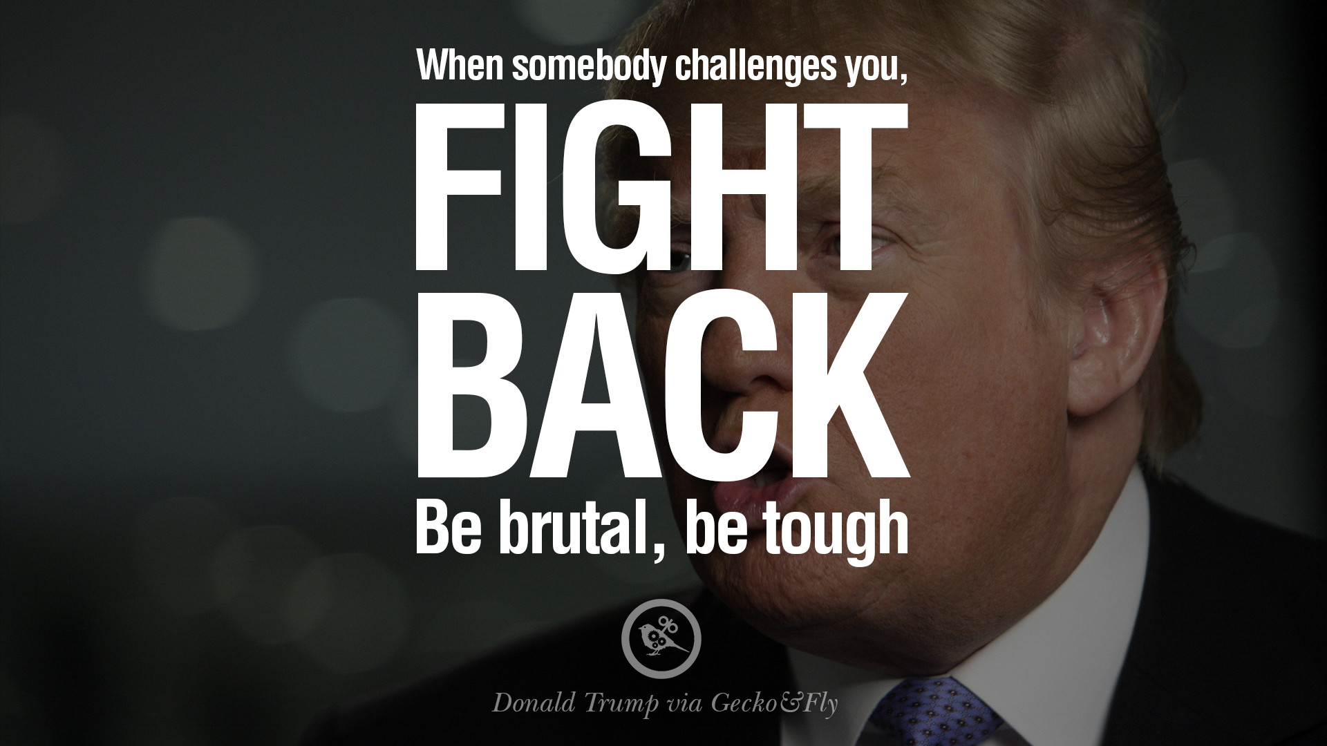 1920x1080 12 Quotes by Donald Trump on Success, Failure, Wealth and Entrepreneurship