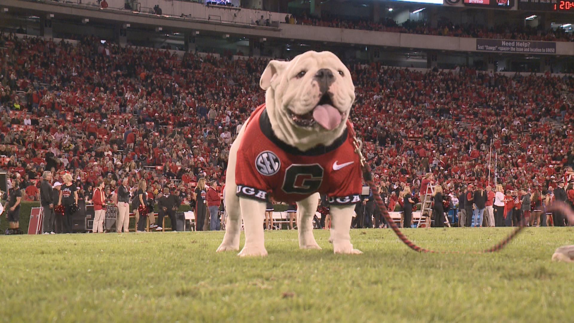 1920x1080 ... background photos; que to take over as uga x during the georgia  southern game ...