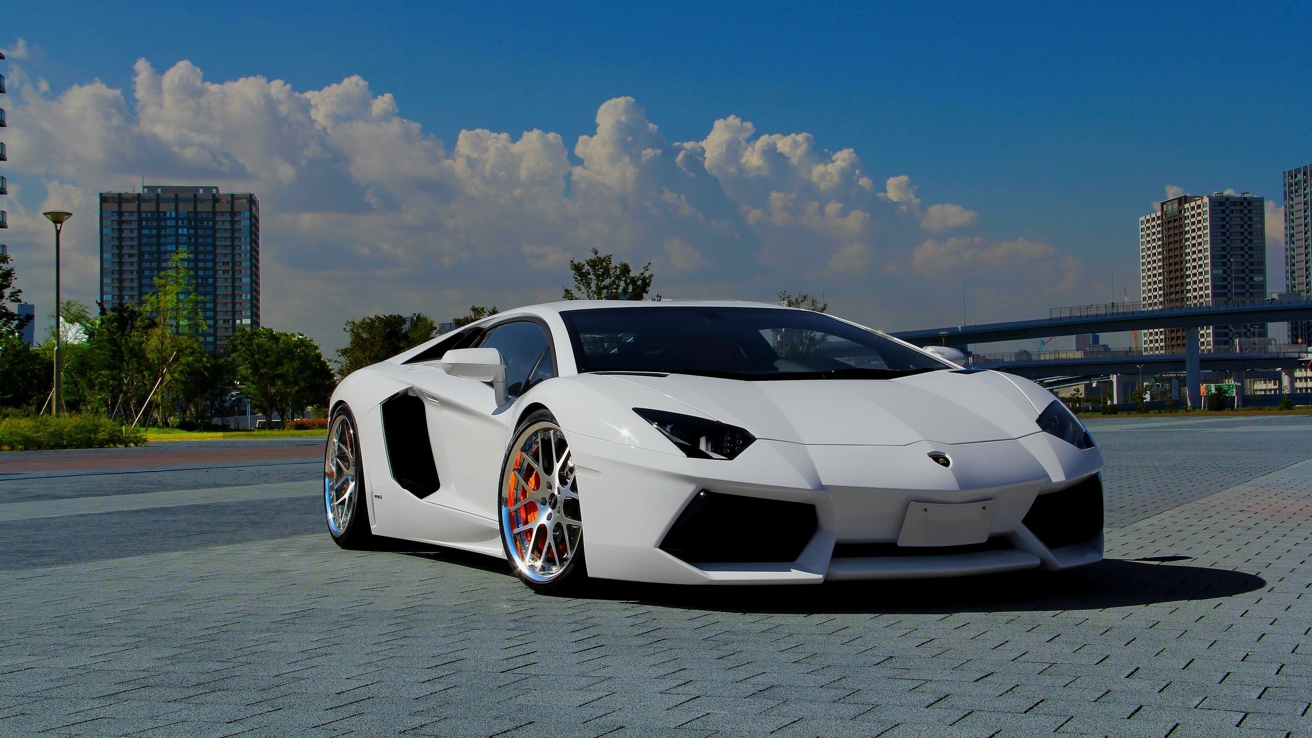 2560x1440 Lamborghini White Wallpapers HD | PixelsTalk.
