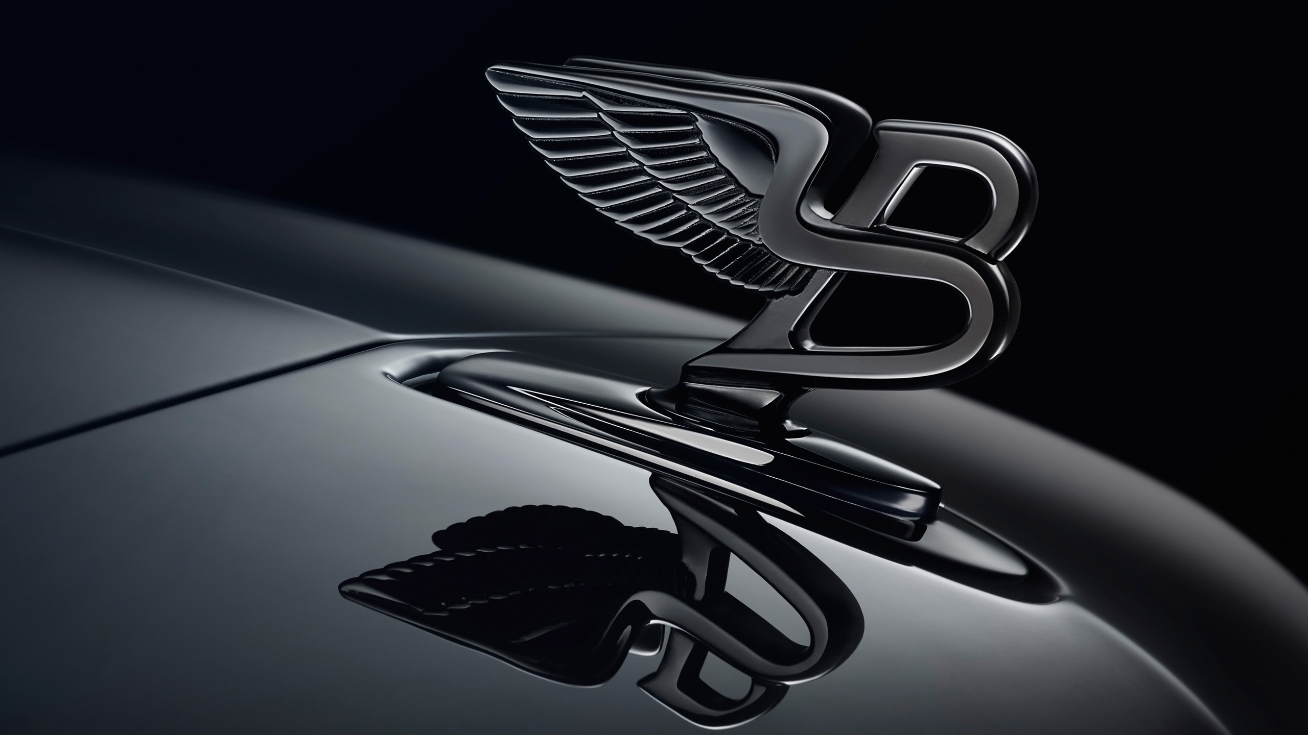 2560x1440 Bentley Logo