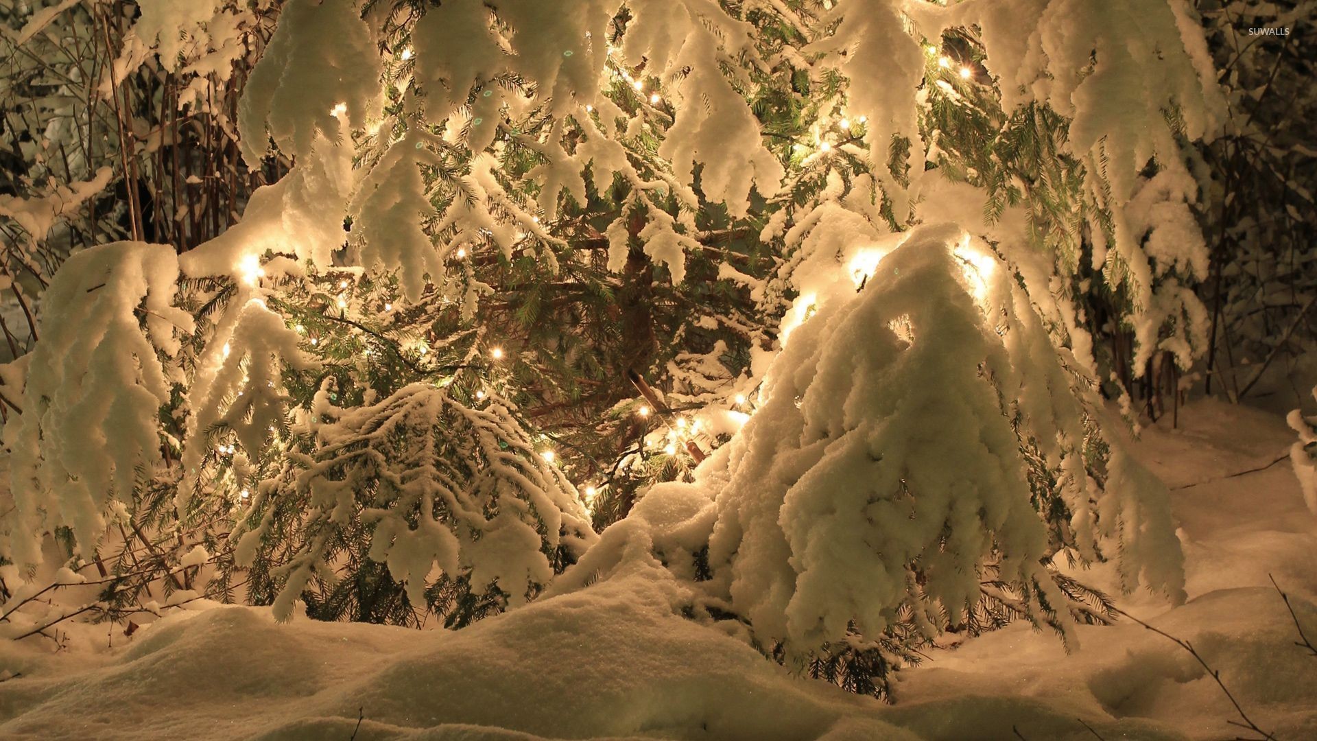 1920x1080 Heavy snow over the lights in the pine tree wallpaper
