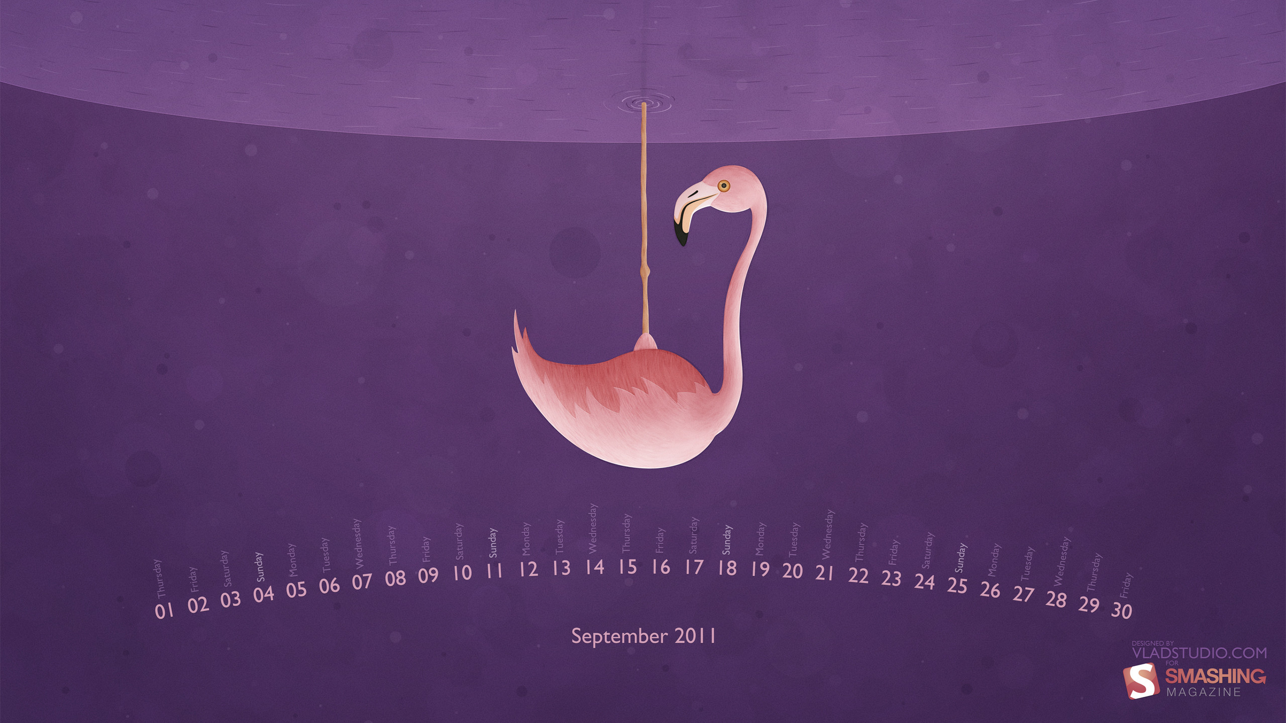 2560x1440 Flamingo