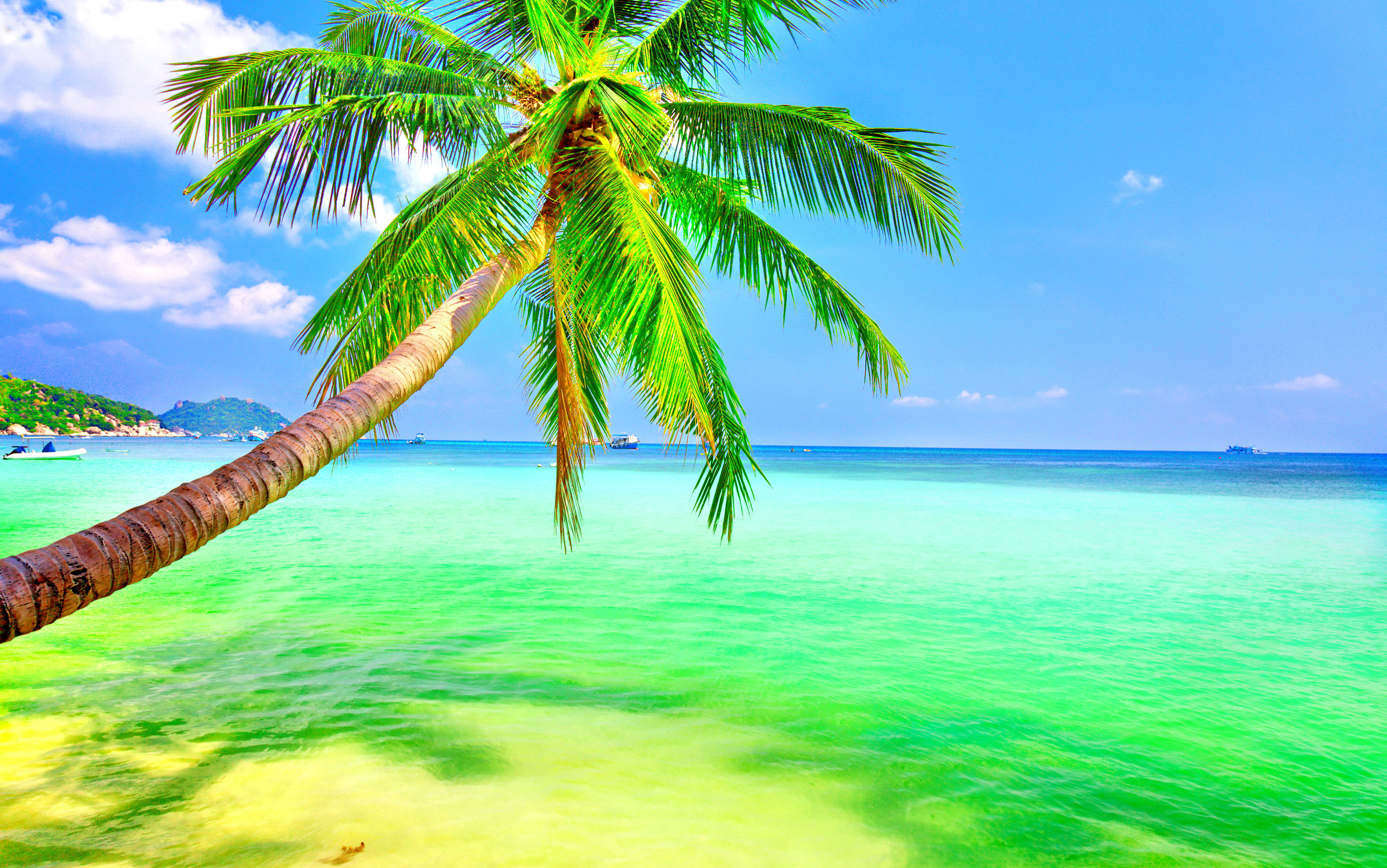 3035x1900 Tropical Paradise Desktop Background Wallpaper HD
