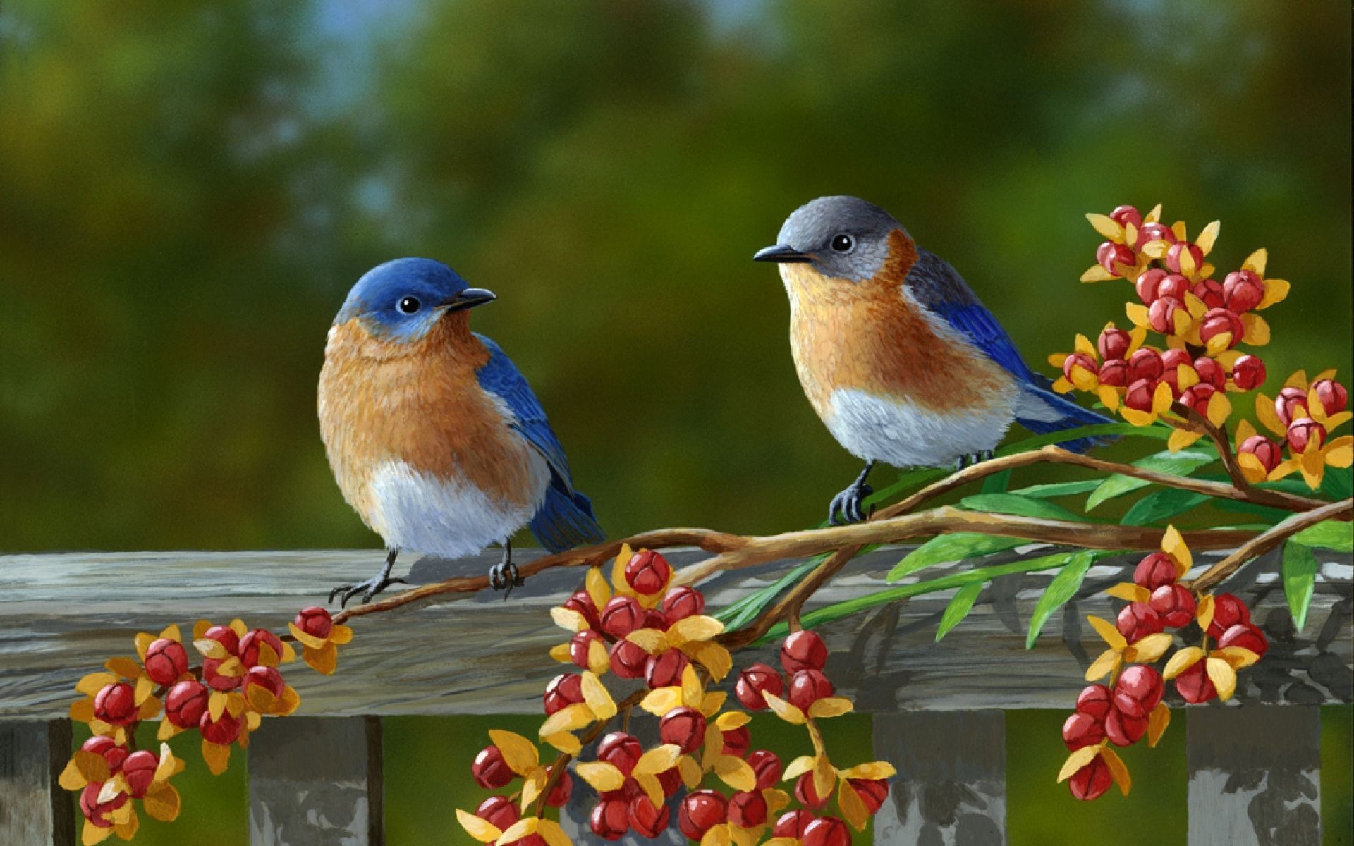 1920x1200 Beautiful Pair Of Birds Wallpaper Pinterest Blue Bird