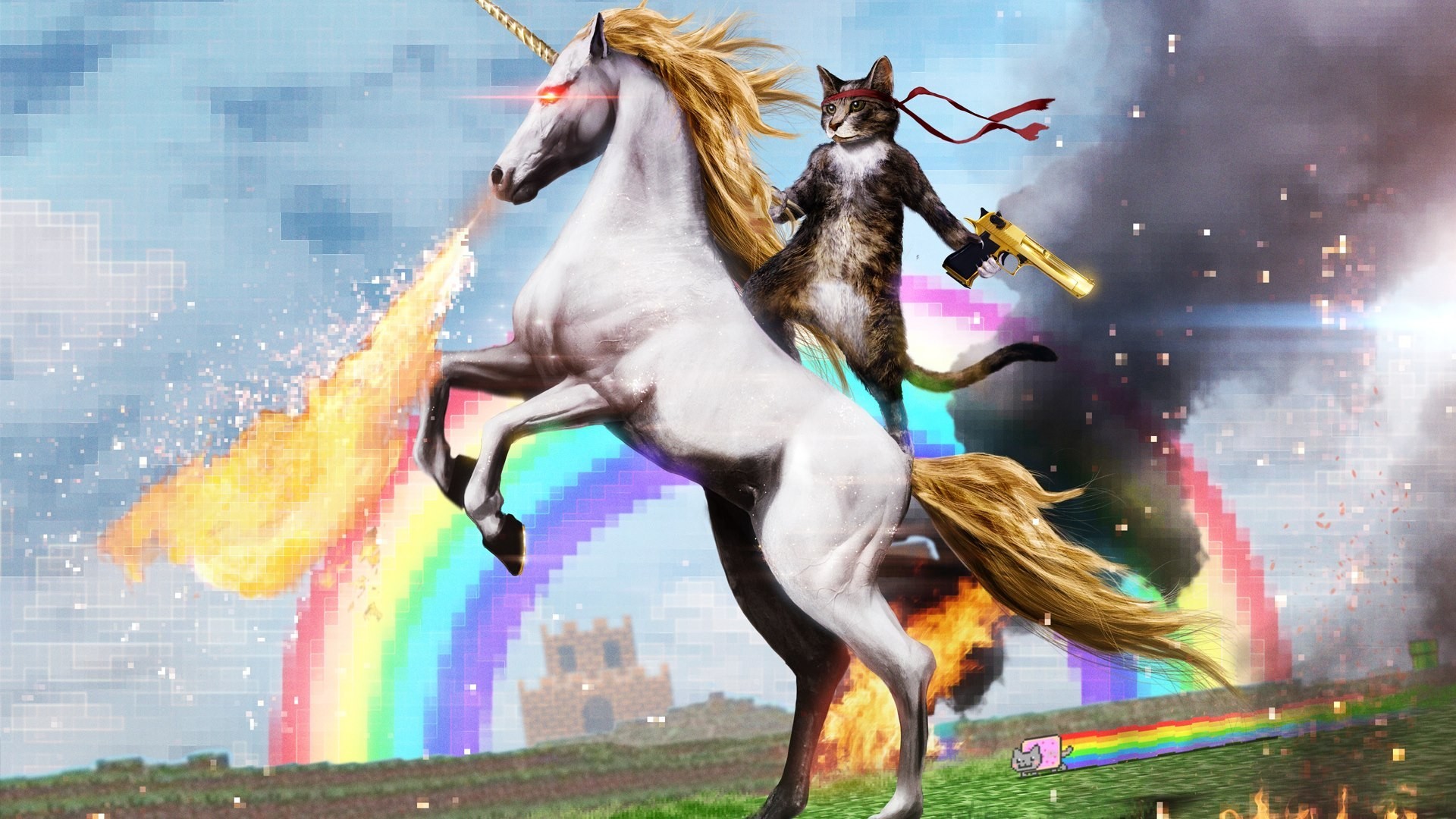 1920x1080 fantasy unicorn wtf funny sci-fi cat cats wallpaper