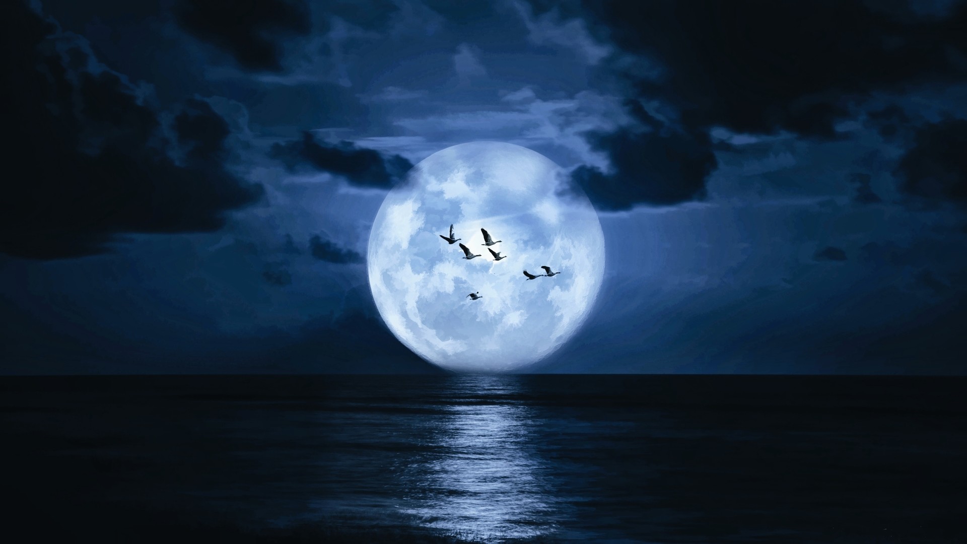 1920x1080 Very big moon, birds, sea, clouds, dark wallpaper: