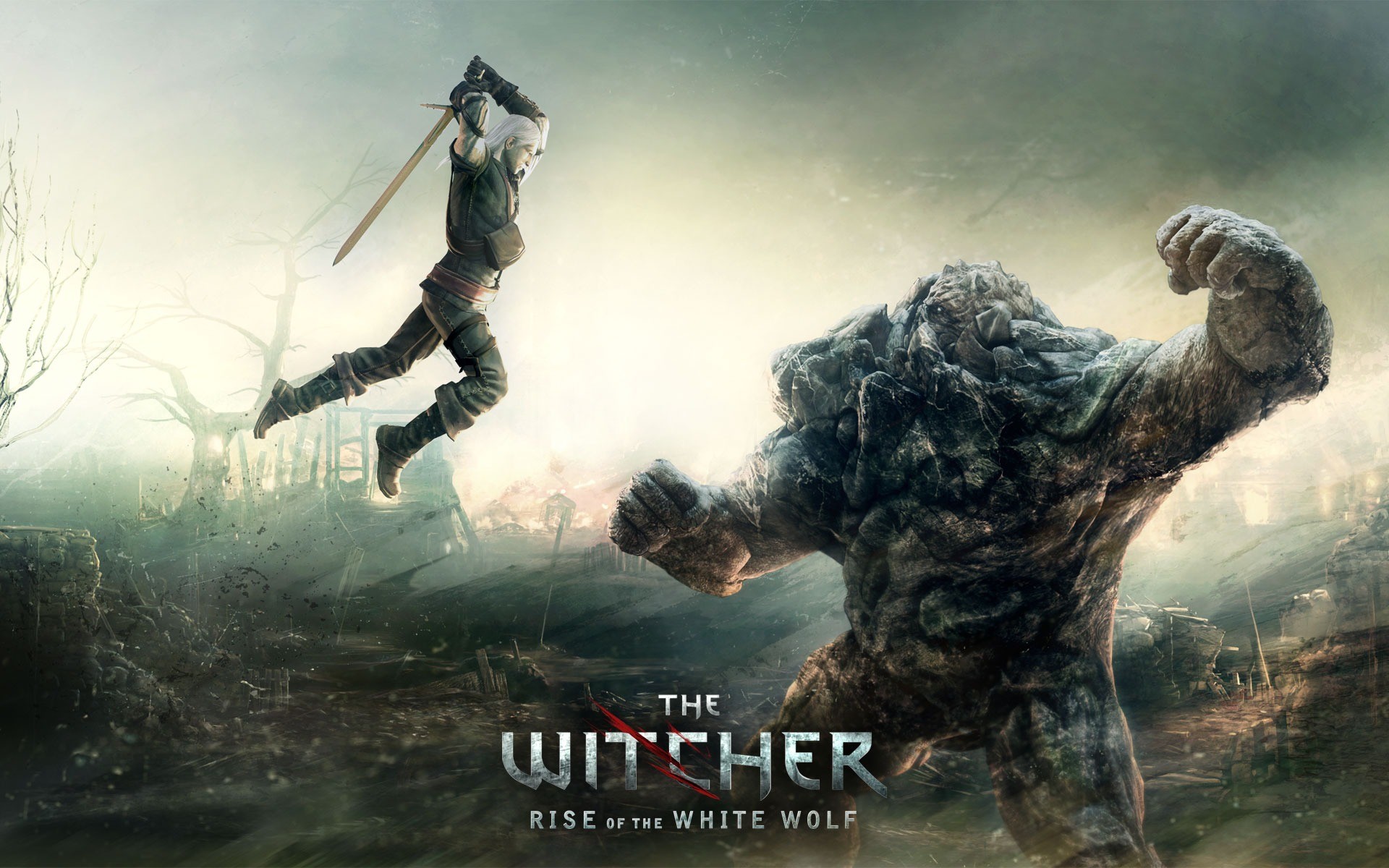 1920x1200 The Witcher Rise of the White Wolf Wallpaper The Witcher Games