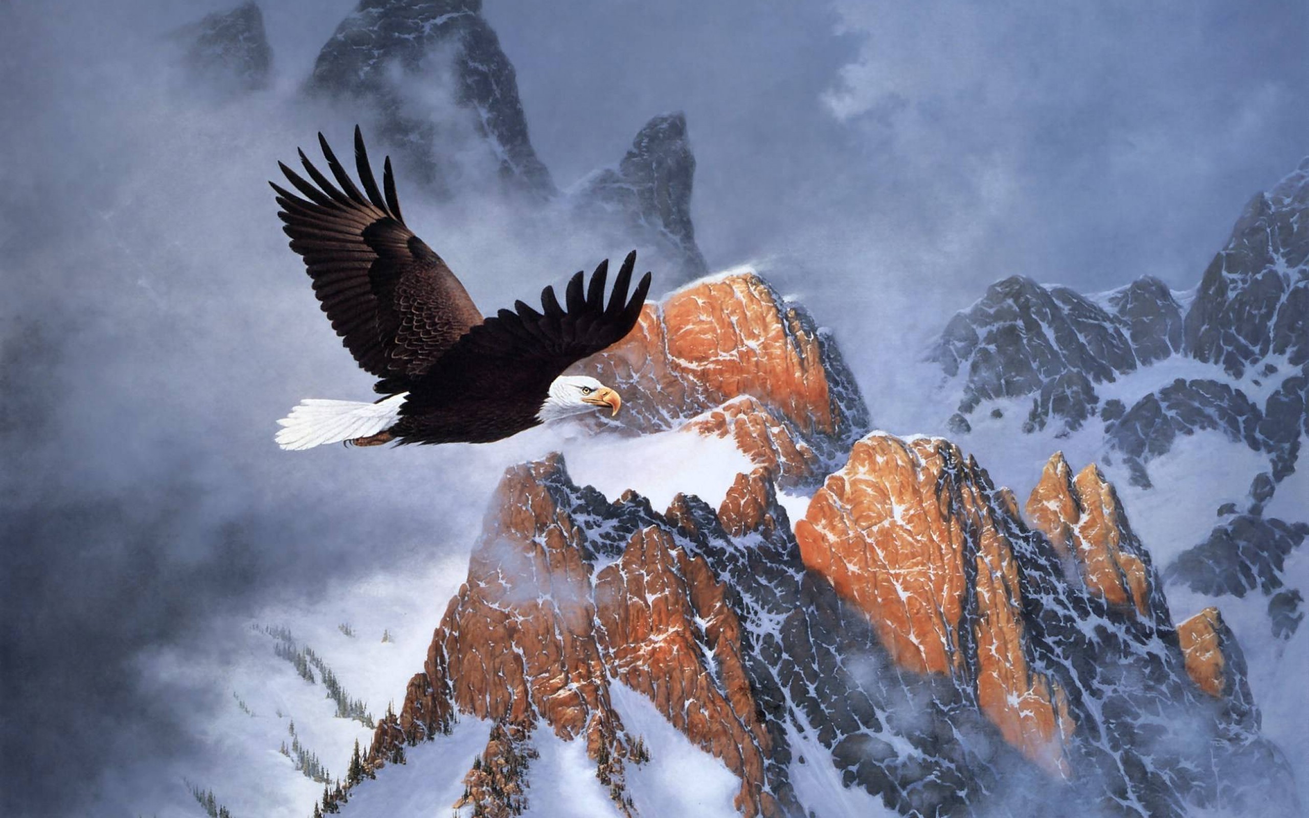 2560x1600 bald eagle and flag pics