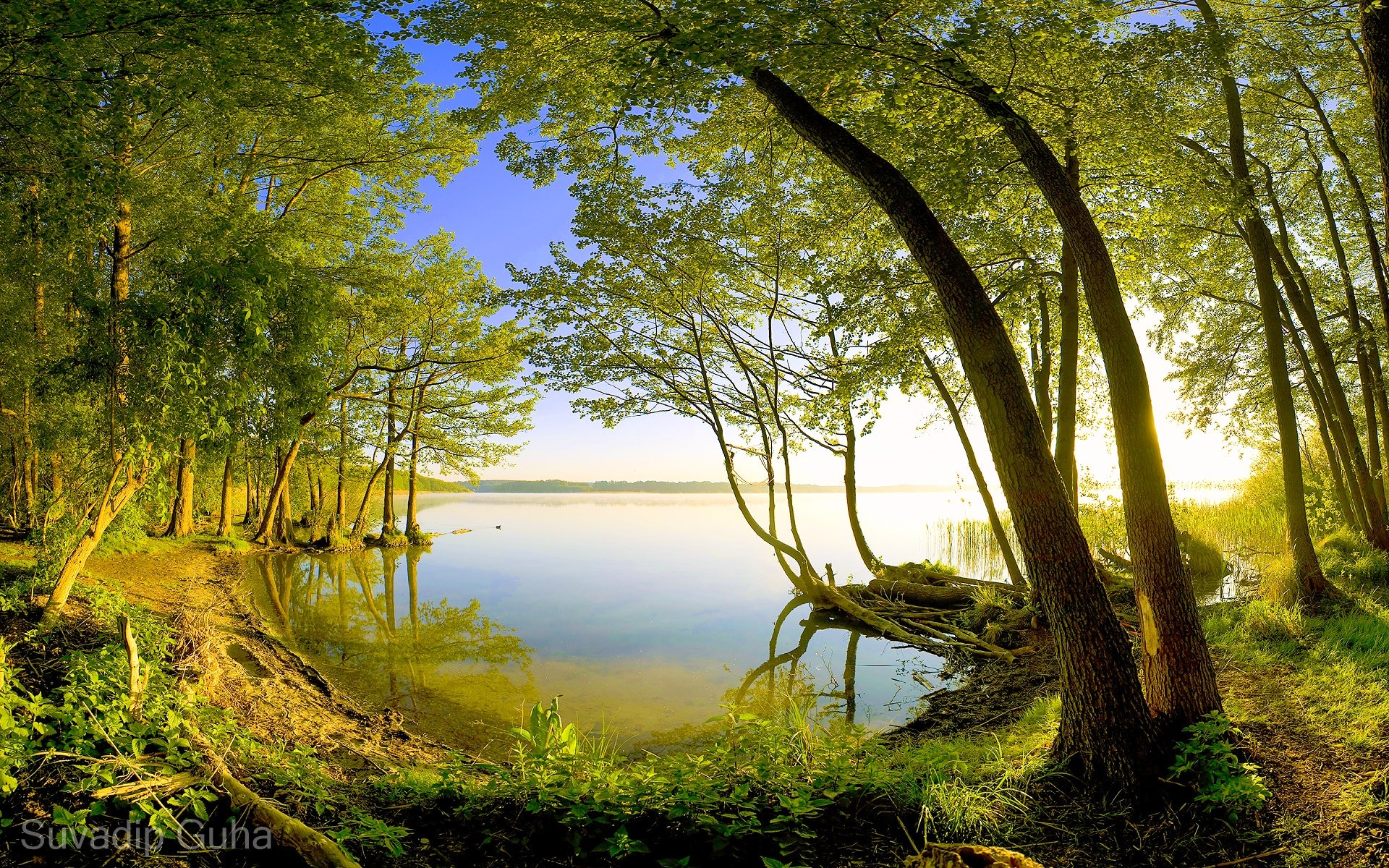 1920x1200 ... 1536x864 wallpaper. forest, lake, green trees, CPL filter, Wide-Angle
