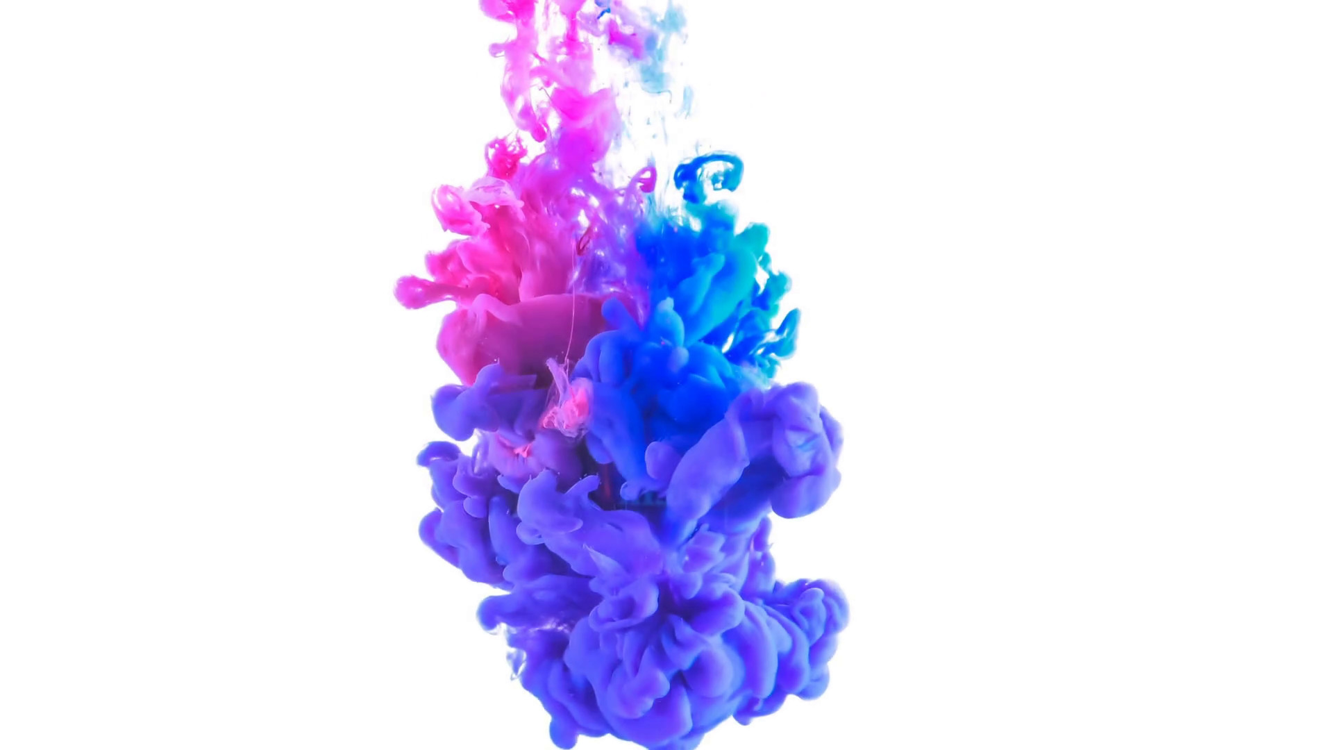 1920x1080 Blue, pink and purple ink cloud forming on white background