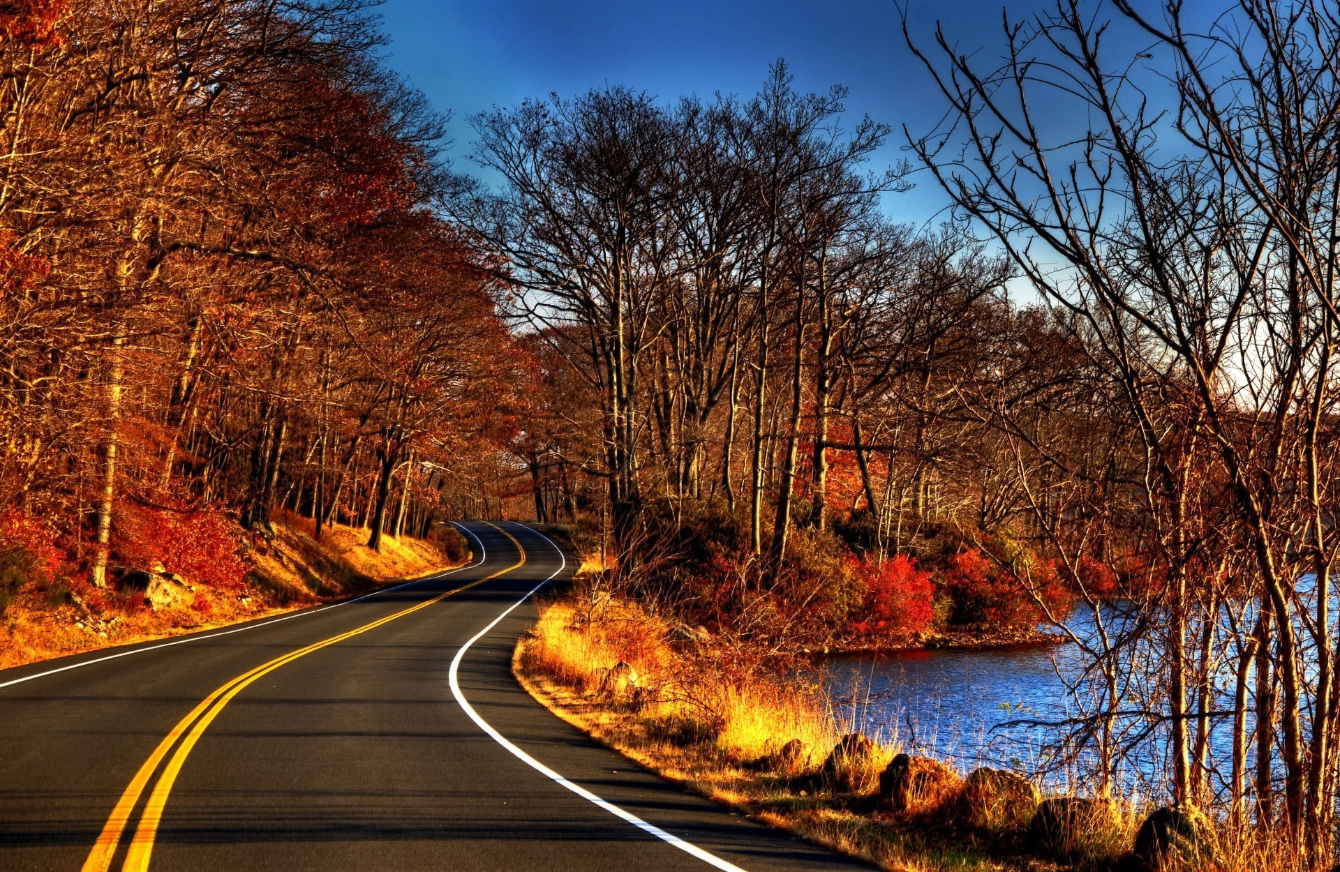 1920x1250 leaves trees forest road autumn nature river water view fall tree walk views