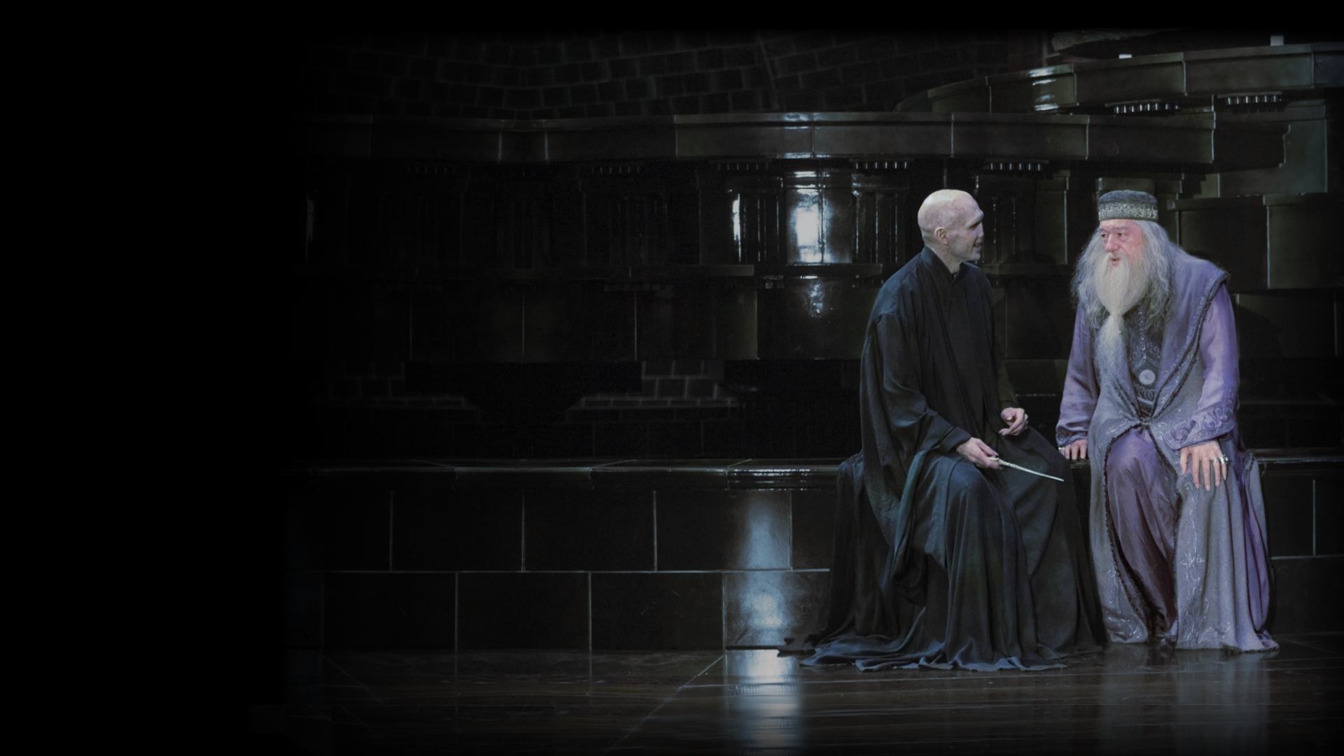 1920x1080 MediaDumbledore and Voldemort having a nice chat - Wallpaper ...