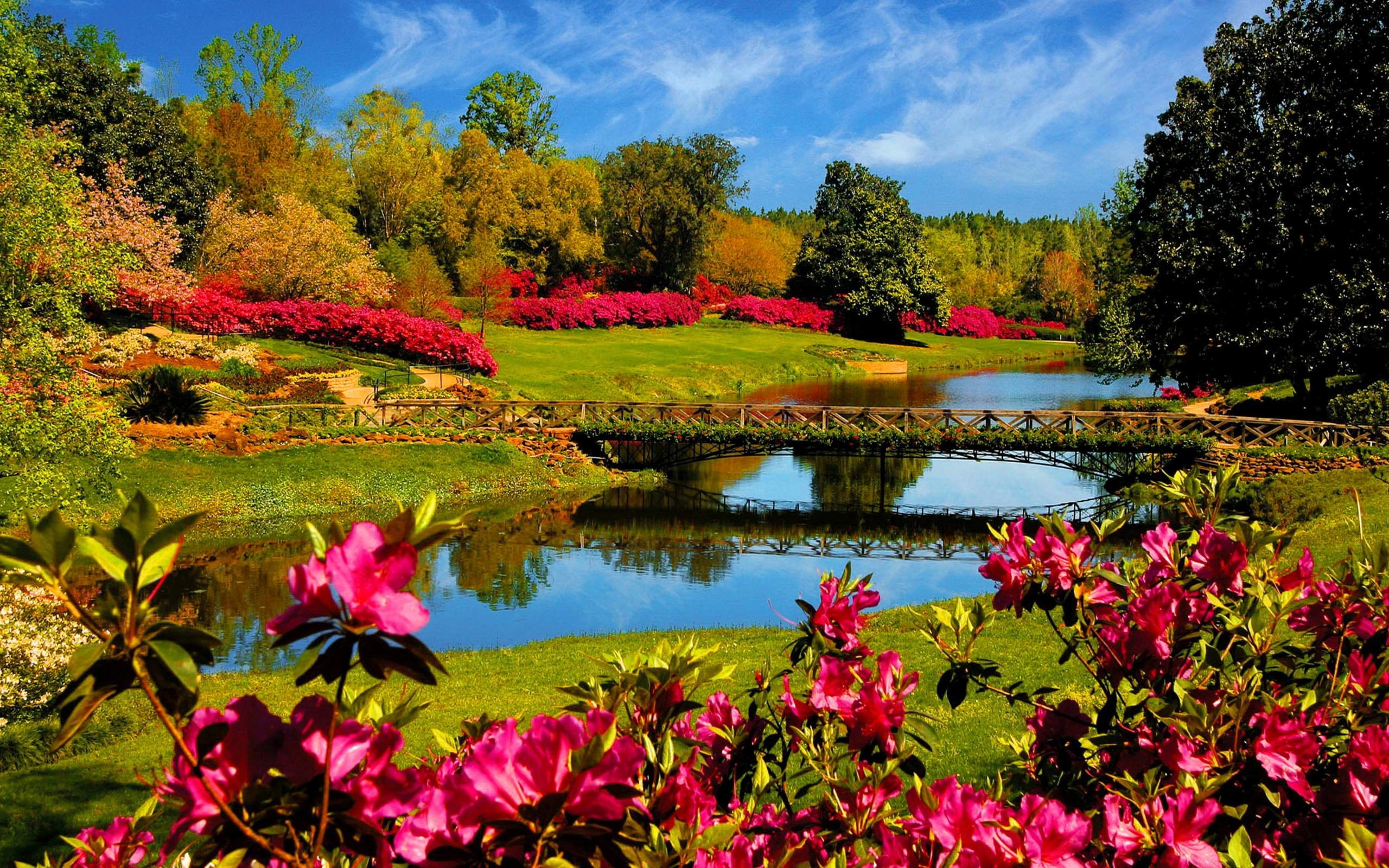 2560x1600 http://www.wallpaperpin.com/webdisk/beautiful-spring-landscape-wallpapers.jpg  | PC WALLPAPERS THAT ARE BEAUTIFUL & AWESOME | Pinterest | Landscape  wallpaper ...