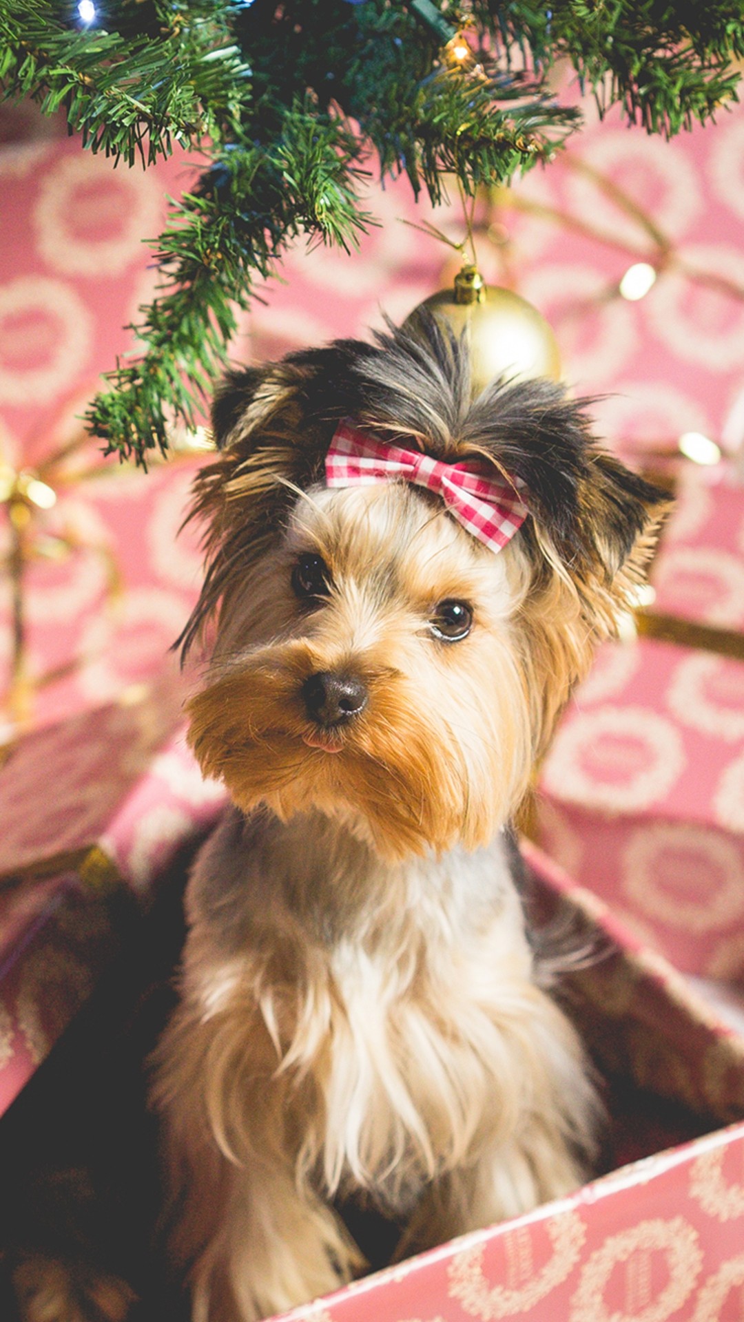 1080x1920 Cute Puppy Christmas Present iPhone 6 wallpaper