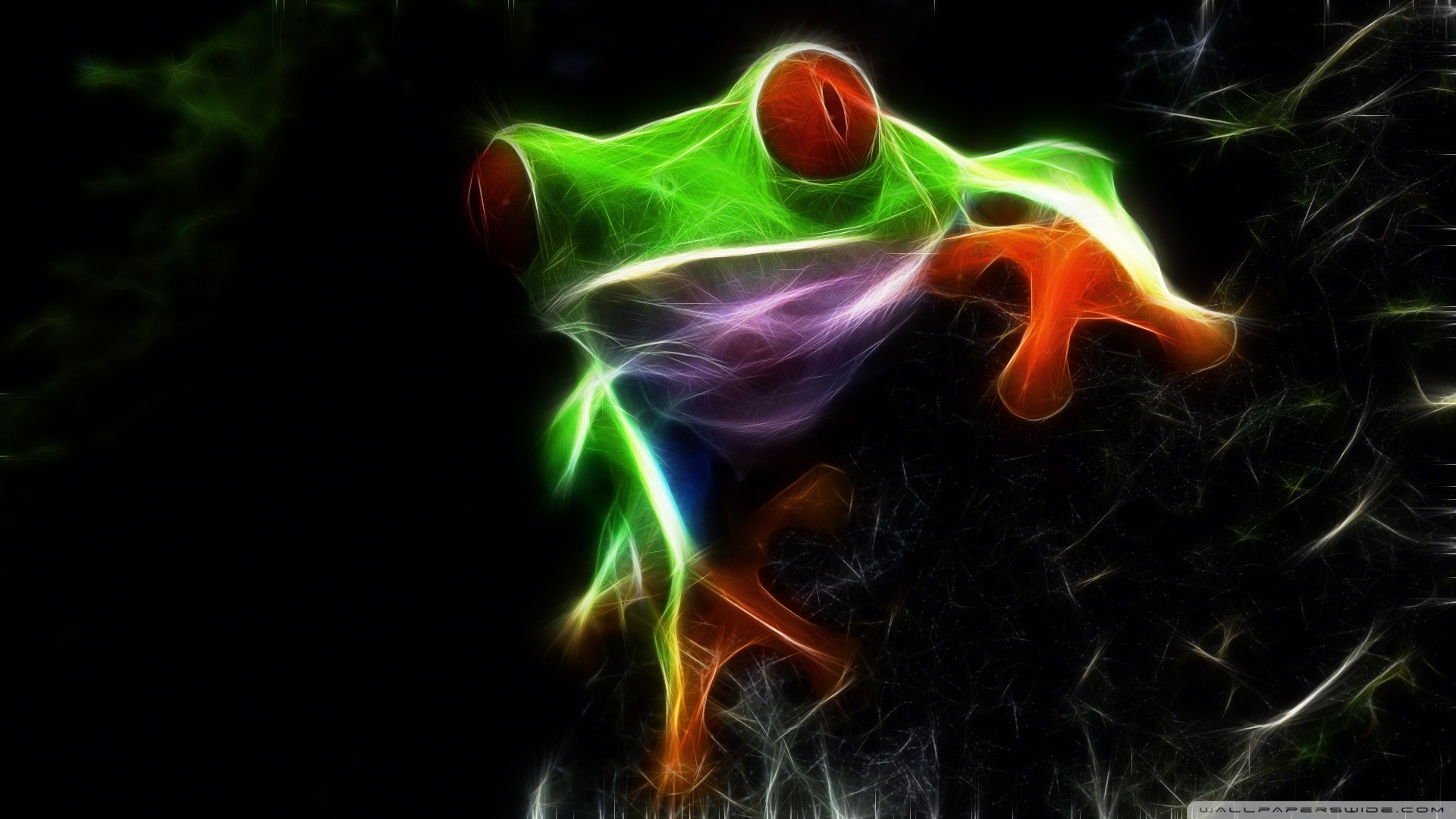 1920x1080 Red Eyed Tree Frog HD desktop wallpaper : High Definition .