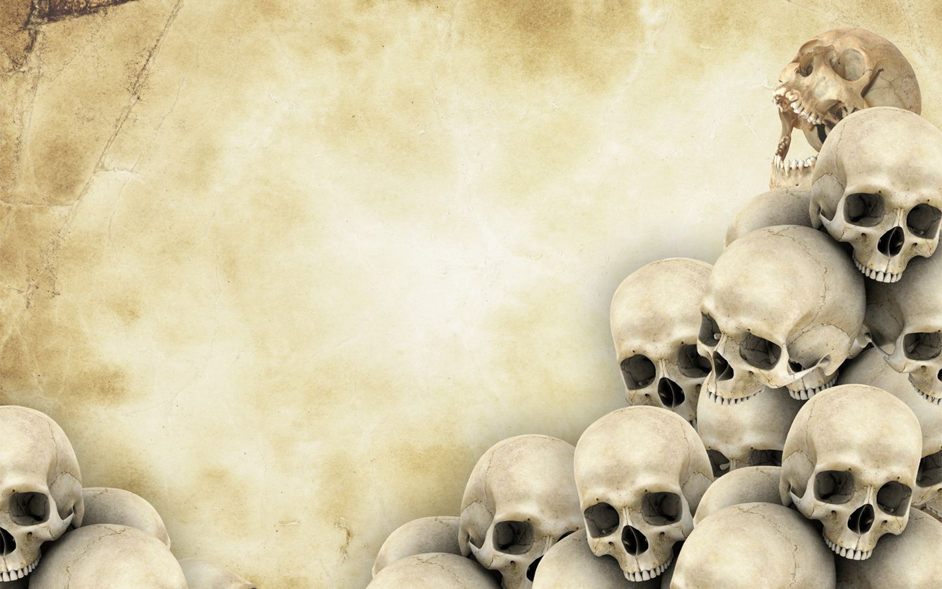 1920x1200 skull background , background, texture, photo, skulls on paper texture  background