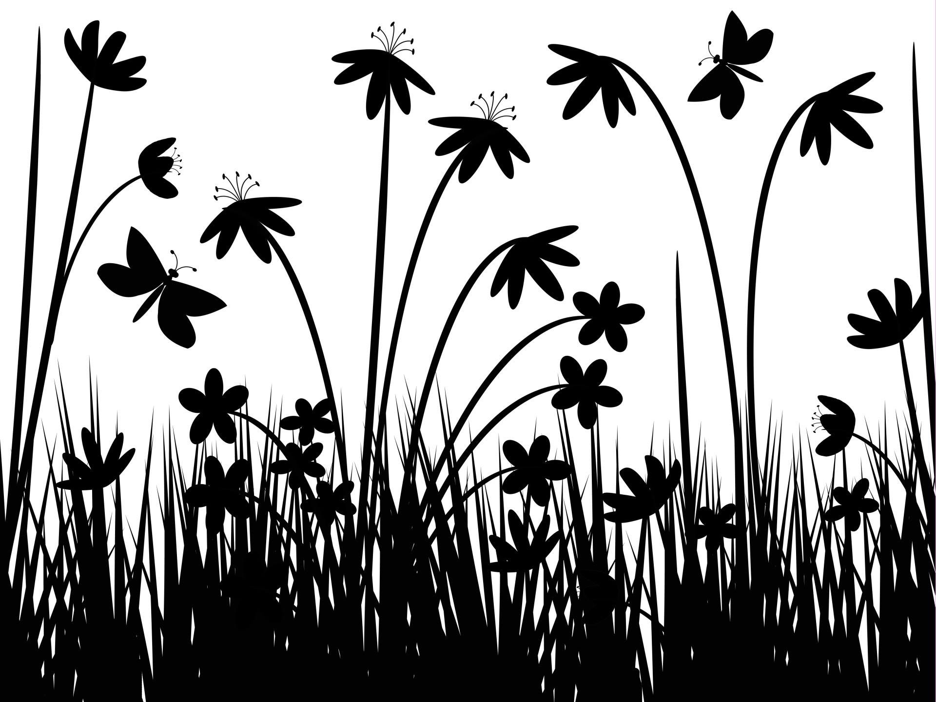 1920x1440 Black and White field flowers