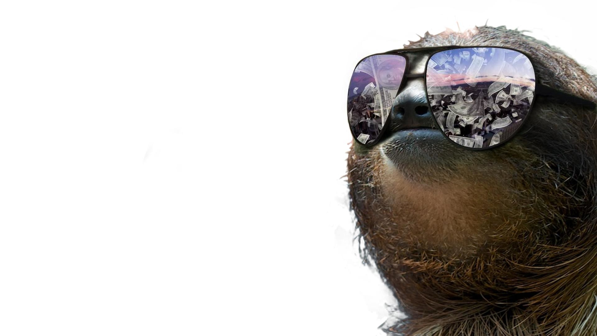 1920x1080 Sloth Wallpaper Design Ideas ~ A Very Slothy Wallpaper Xpost From .