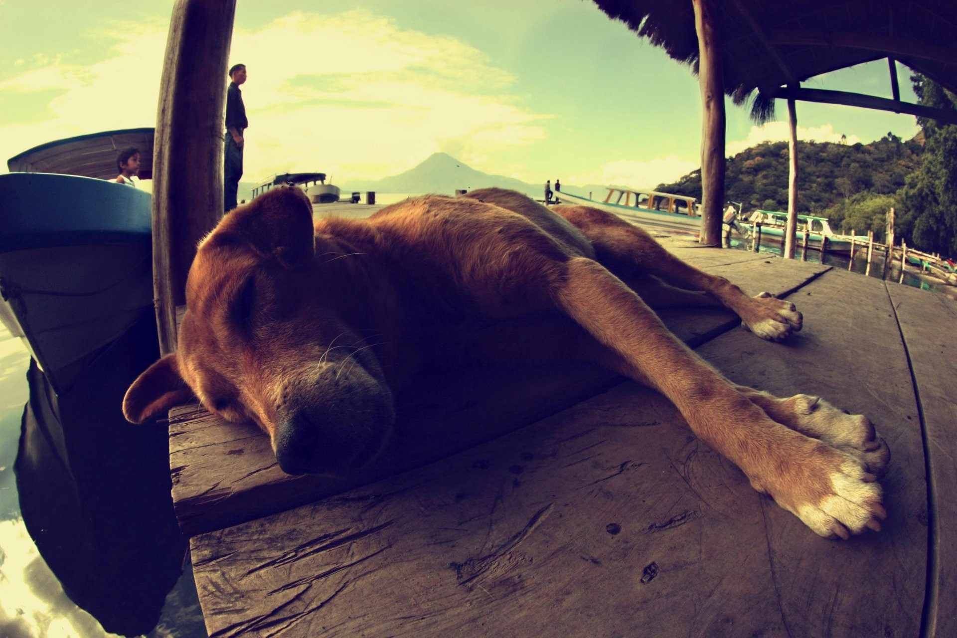 1920x1280 dog dog sleeping is landscape boat people guatemala