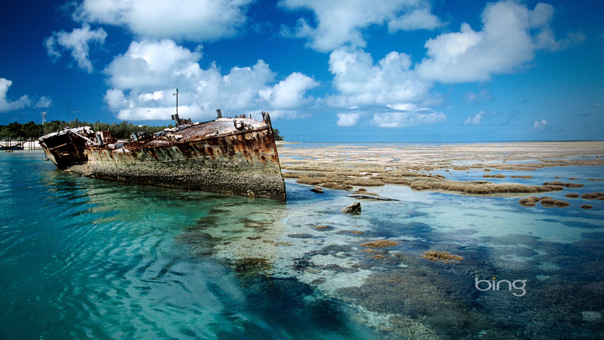 1920x1080 Bing Shipwreck on Heron Island desktop background Australia full hd.