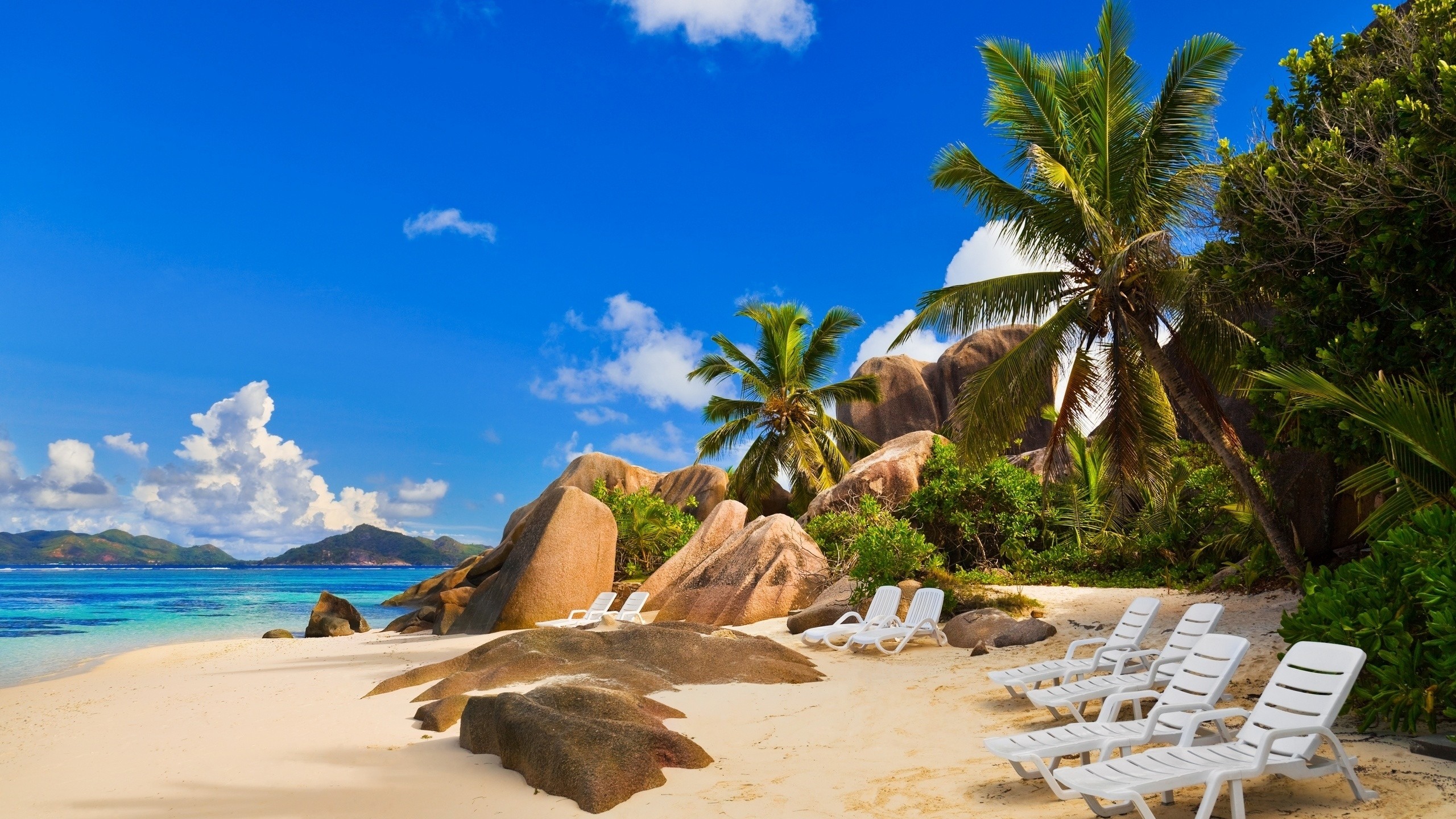2560x1440 Preview wallpaper beach, palm trees, sky, island, coast, resort, relax