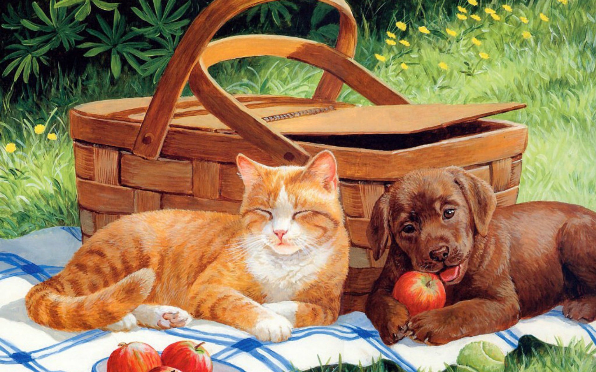 1920x1200 Cute Cat & Dog Picnic wallpapers and stock photos