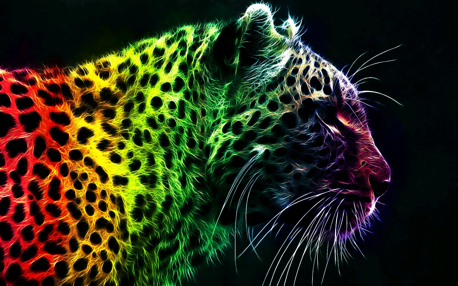 1920x1200 Cool Rainbow Leopard Wallpapers