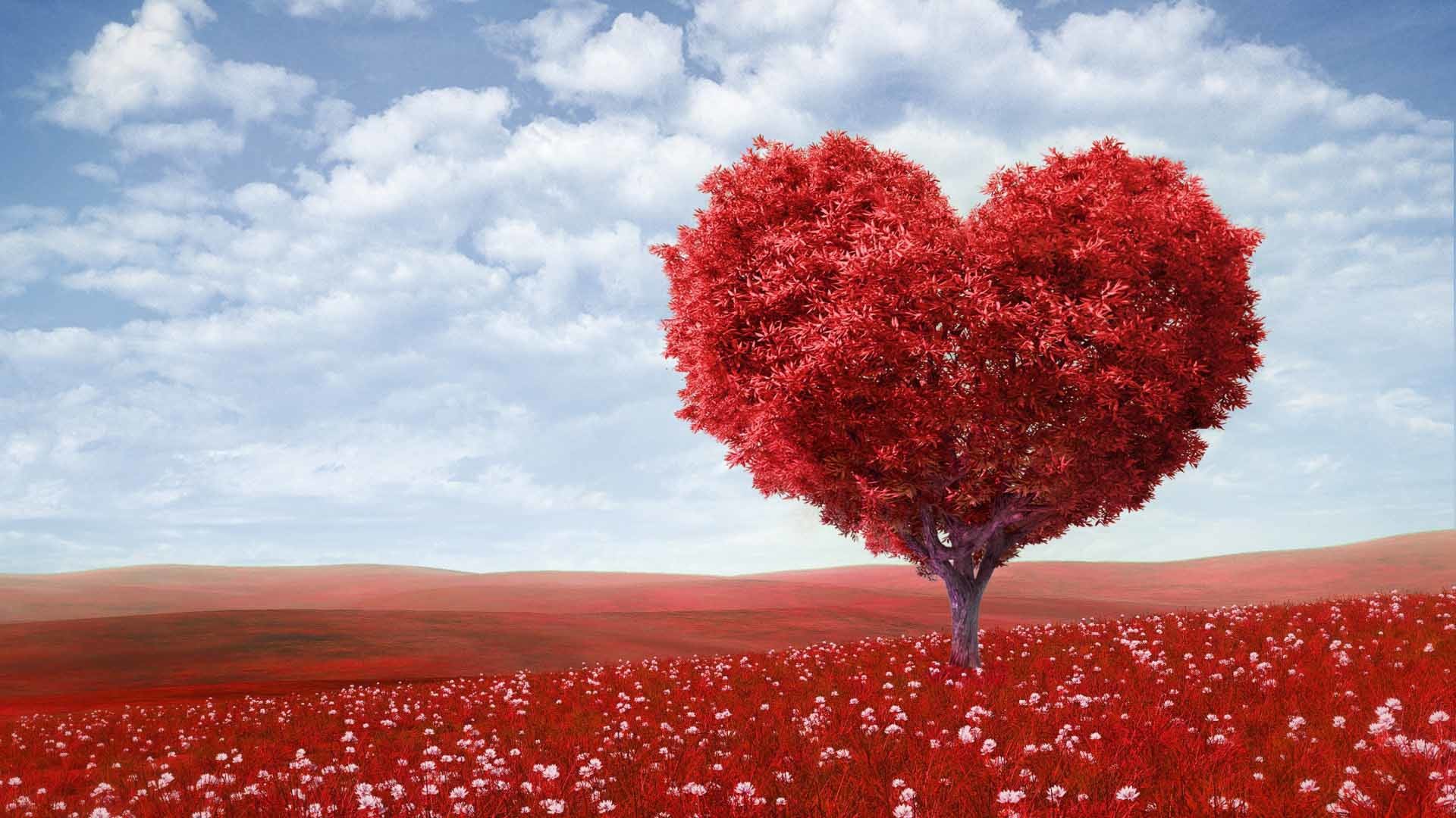 1920x1080 Red heart shape tree landscape love wallpaper