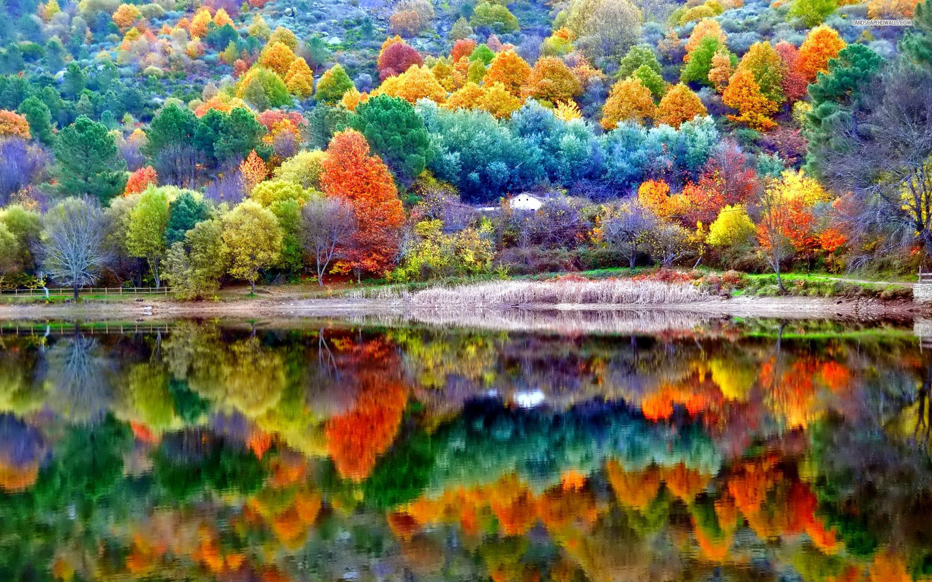 1920x1200 Beautiful autumn scenery 6341 jpg x desktop wallpaper 269288