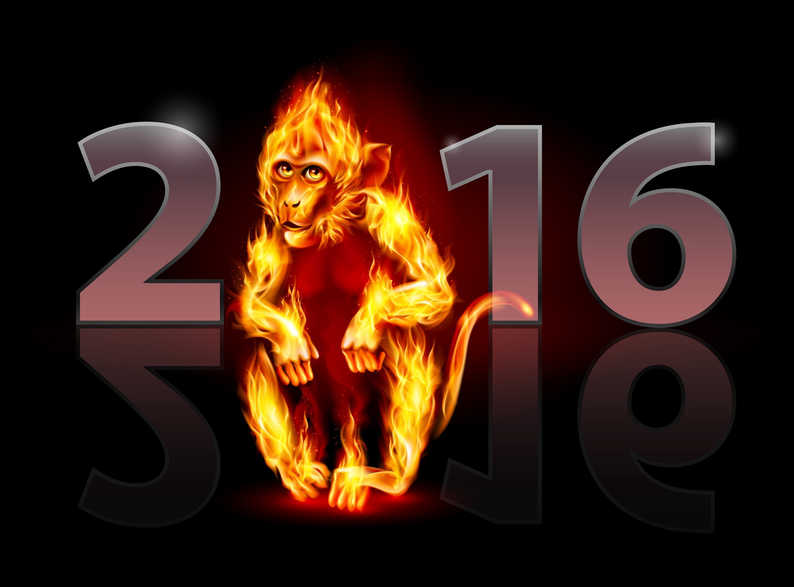 2560x1894 2016 is the year of the Red Fire Monkey.